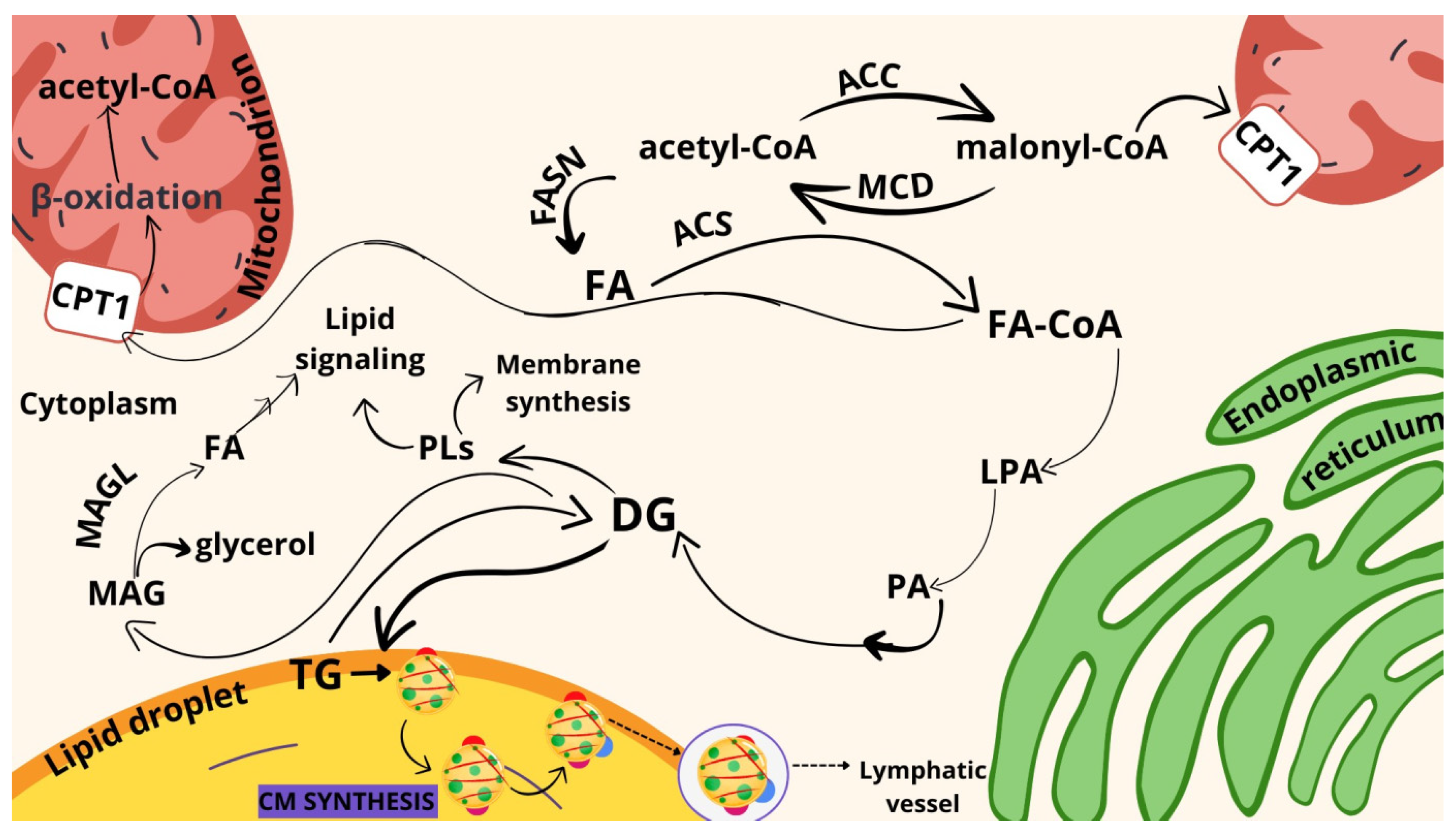 Ijms 25 04508 sch001