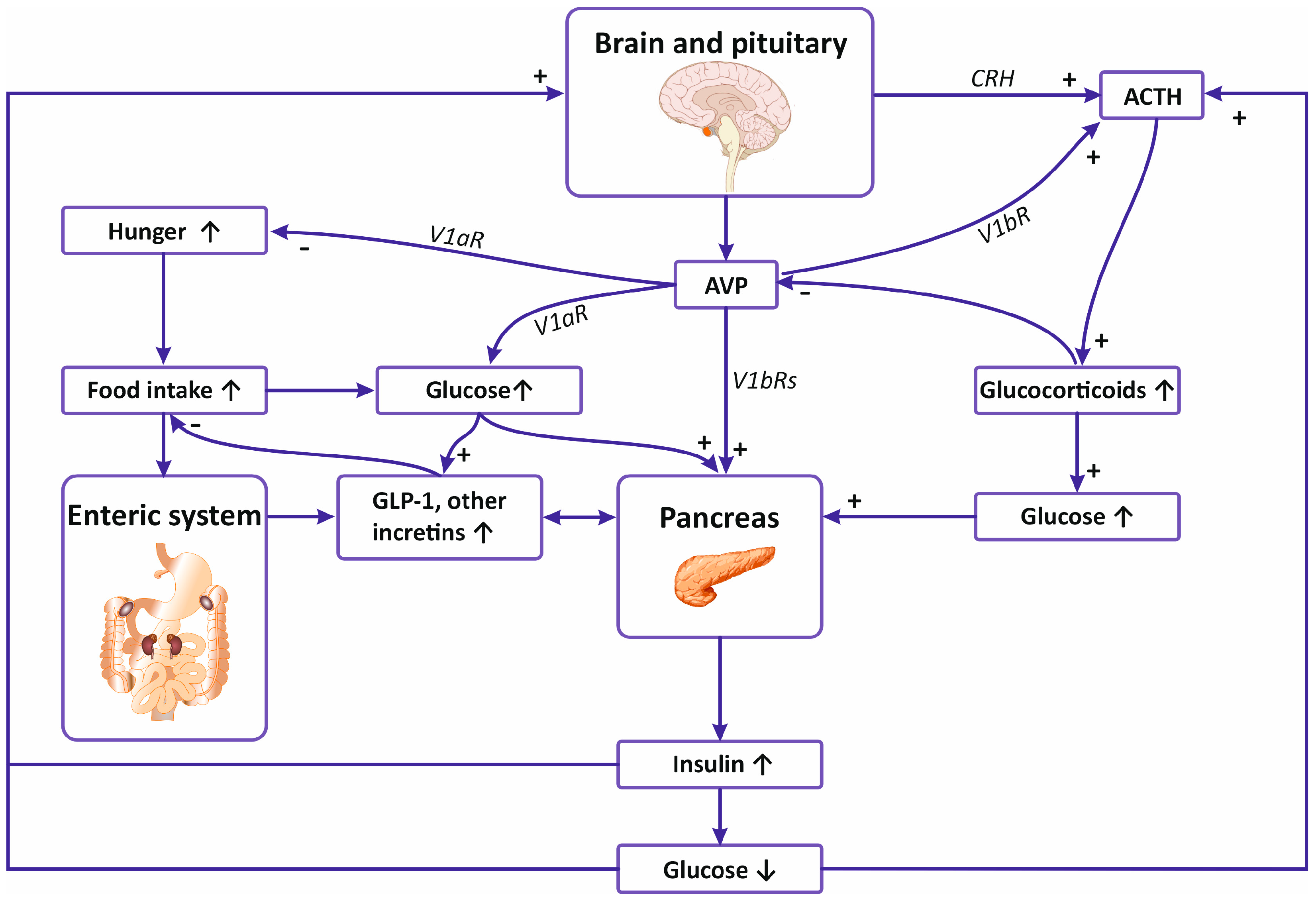 Ijms 25 13307 g002 Ijms 25 13307 g002