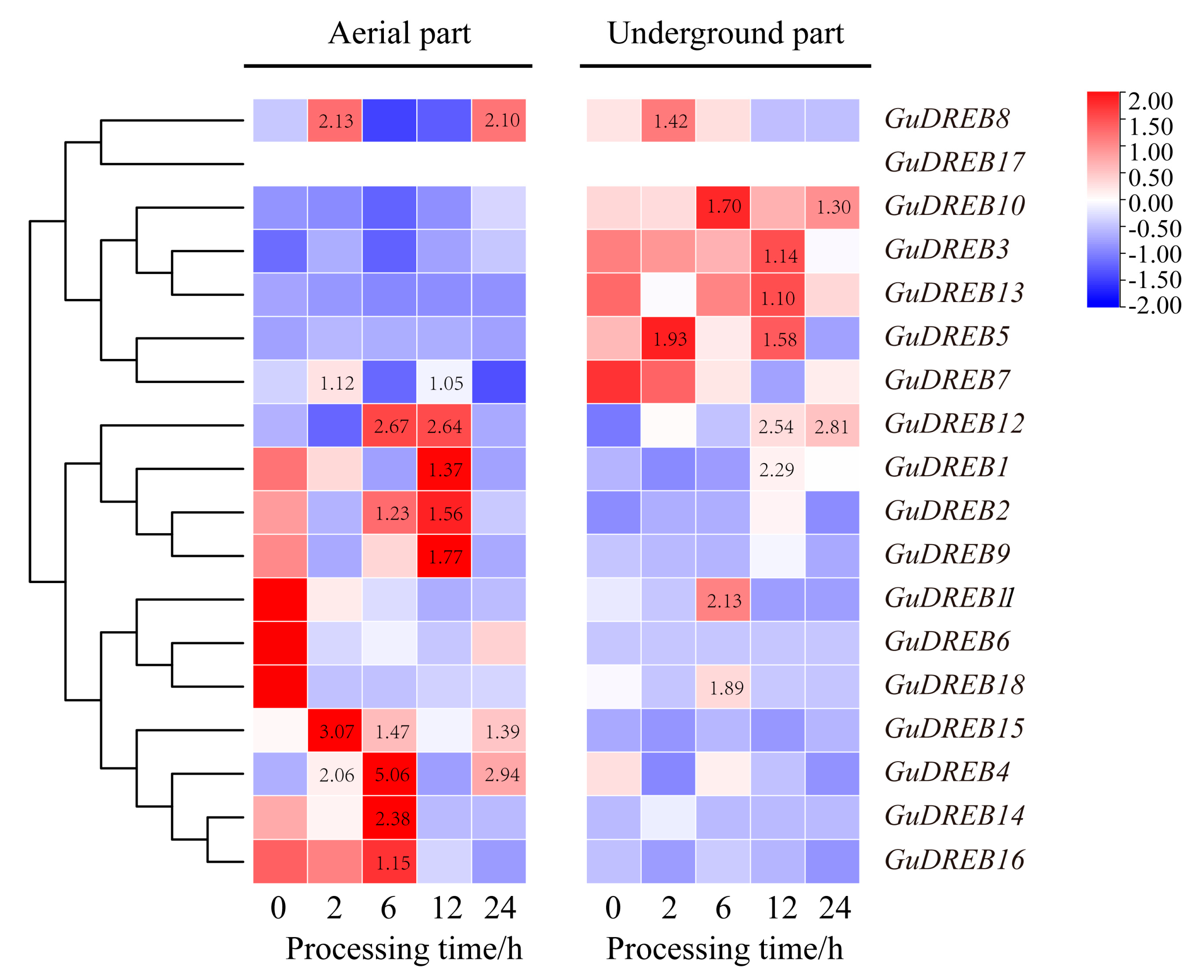 Ijms 26 09235 g002 Ijms 26 09235 g002