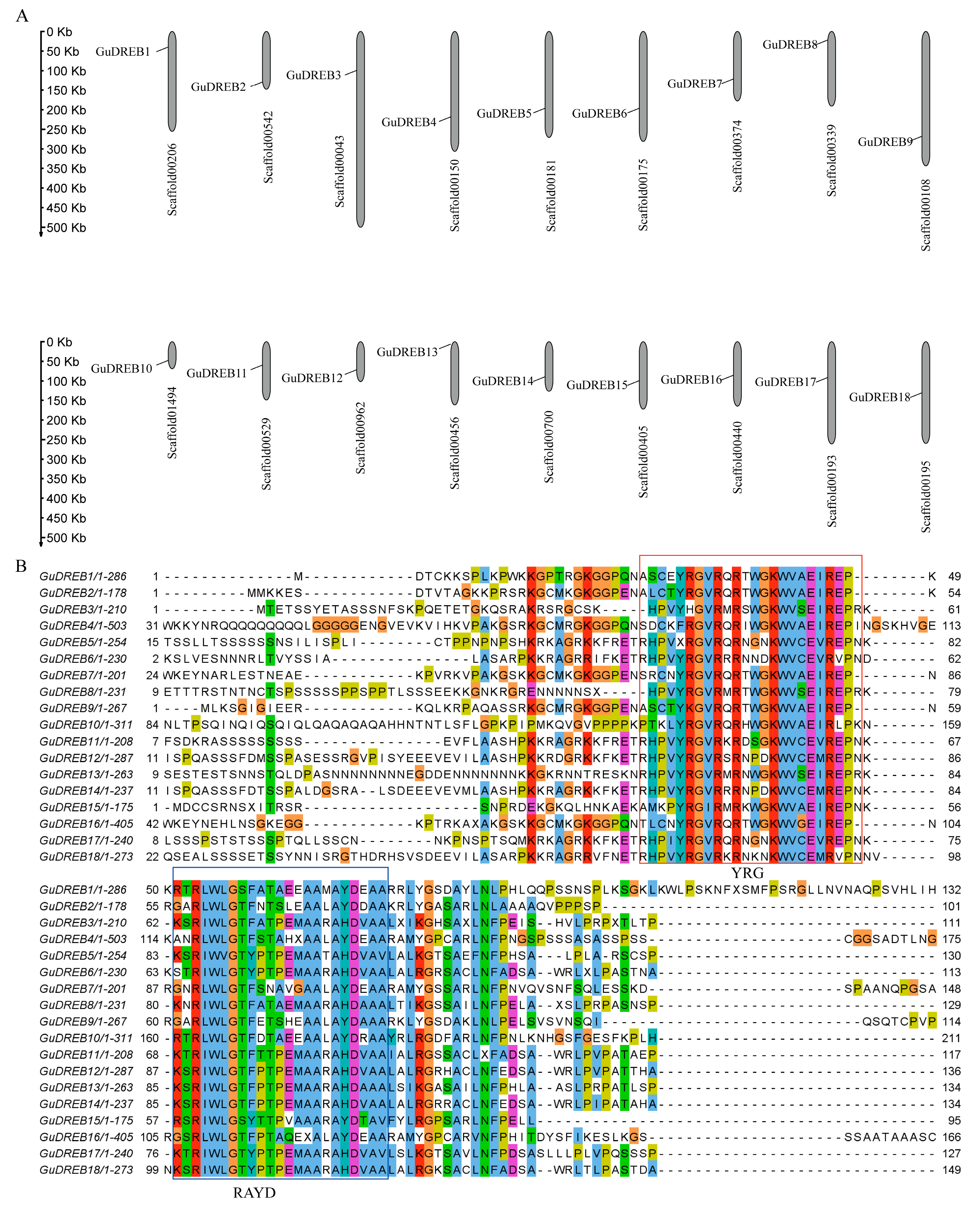 Ijms 26 09235 g003 Ijms 26 09235 g003