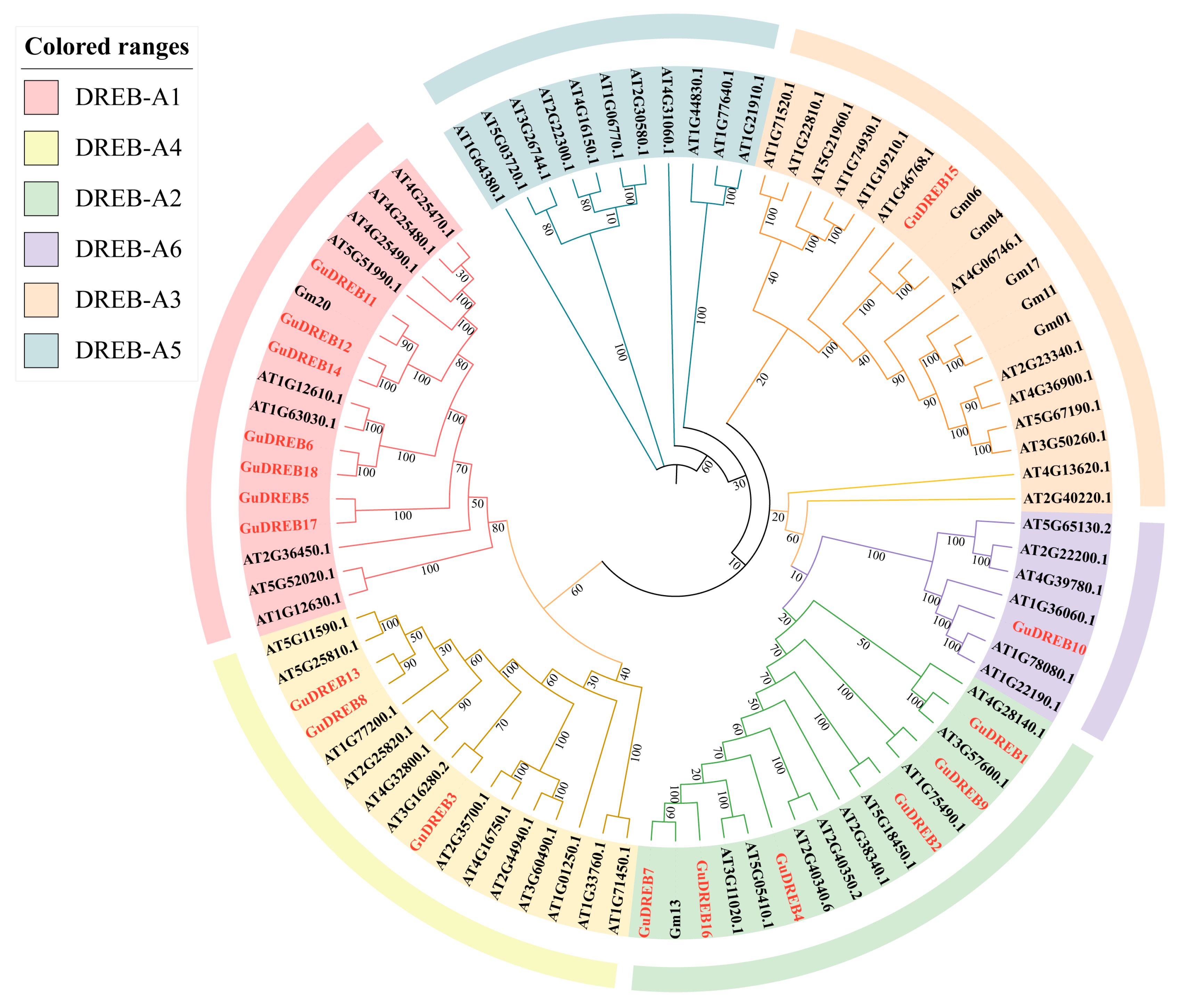 Ijms 26 09235 g004 Ijms 26 09235 g004