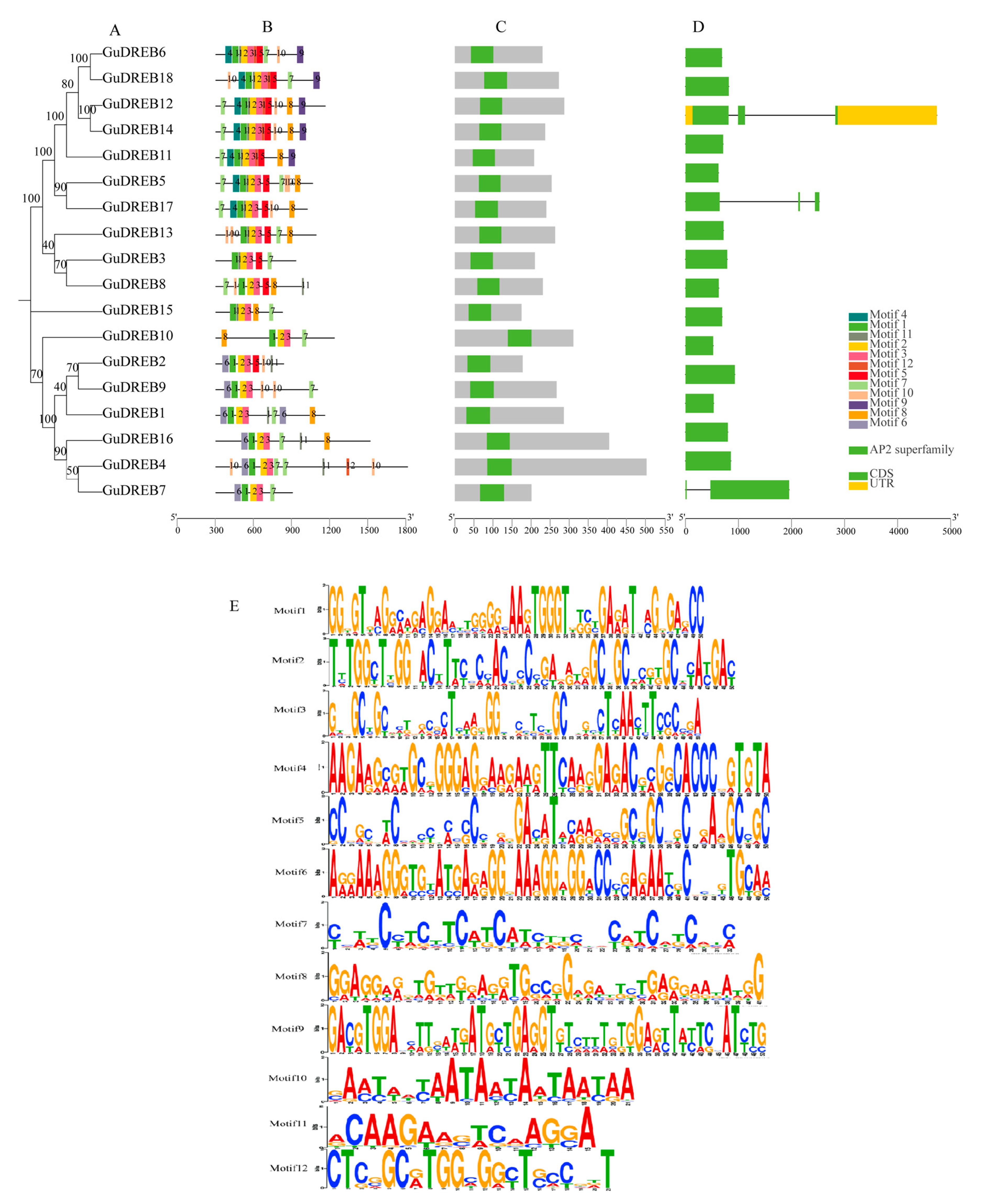 Ijms 26 09235 g005 Ijms 26 09235 g005
