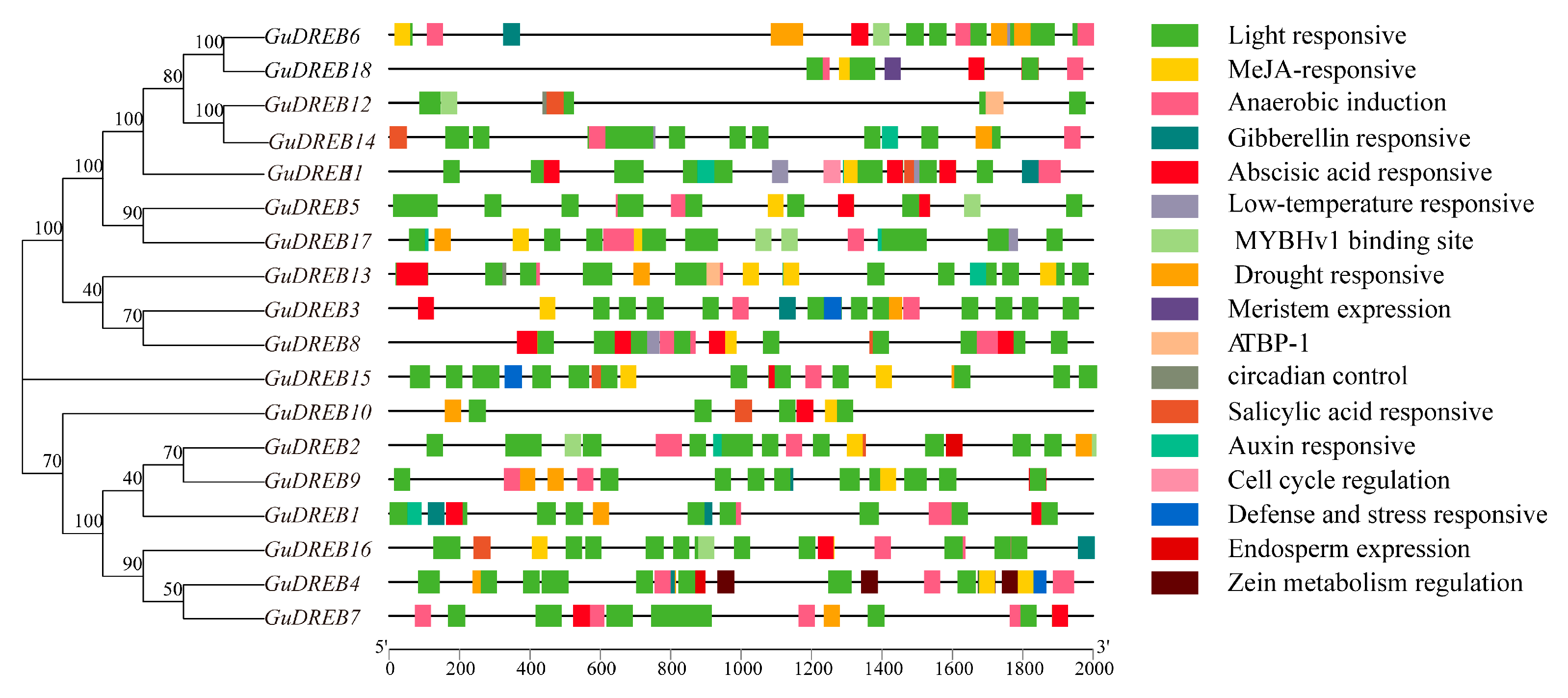 Ijms 26 09235 g006 Ijms 26 09235 g006