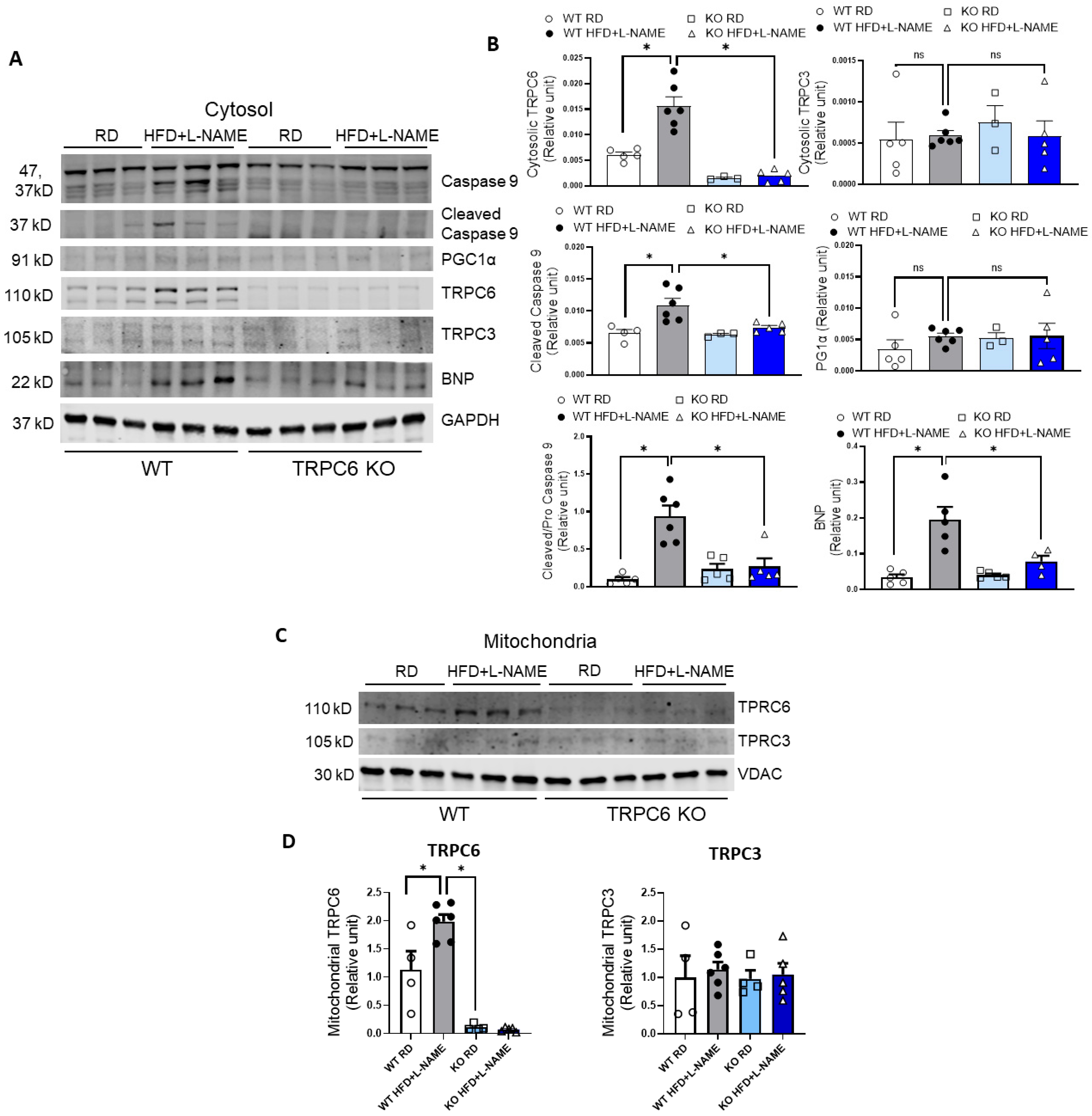 Ijms 26 09383 g006 Ijms 26 09383 g006