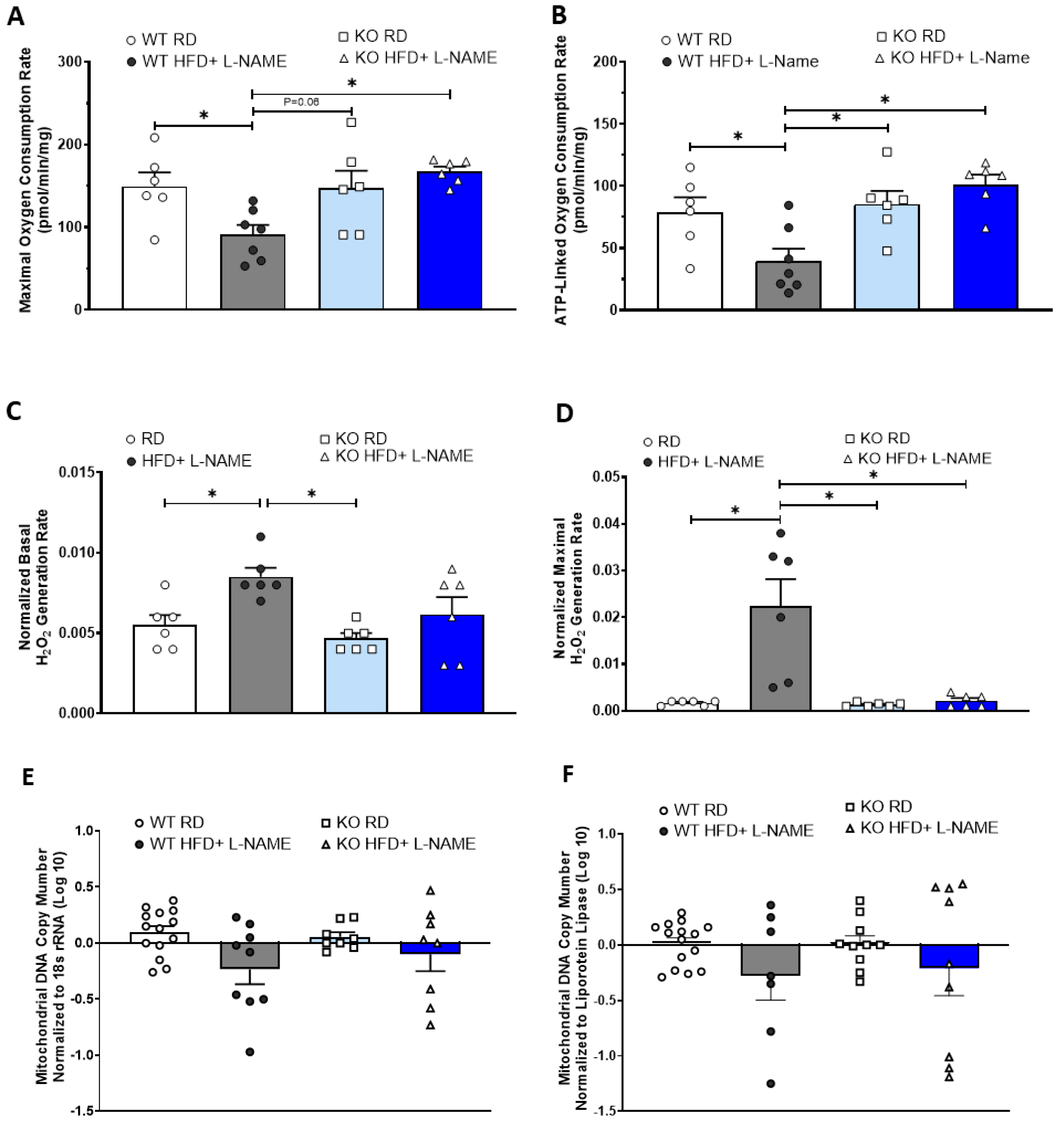 Ijms 26 09383 g008 Ijms 26 09383 g008