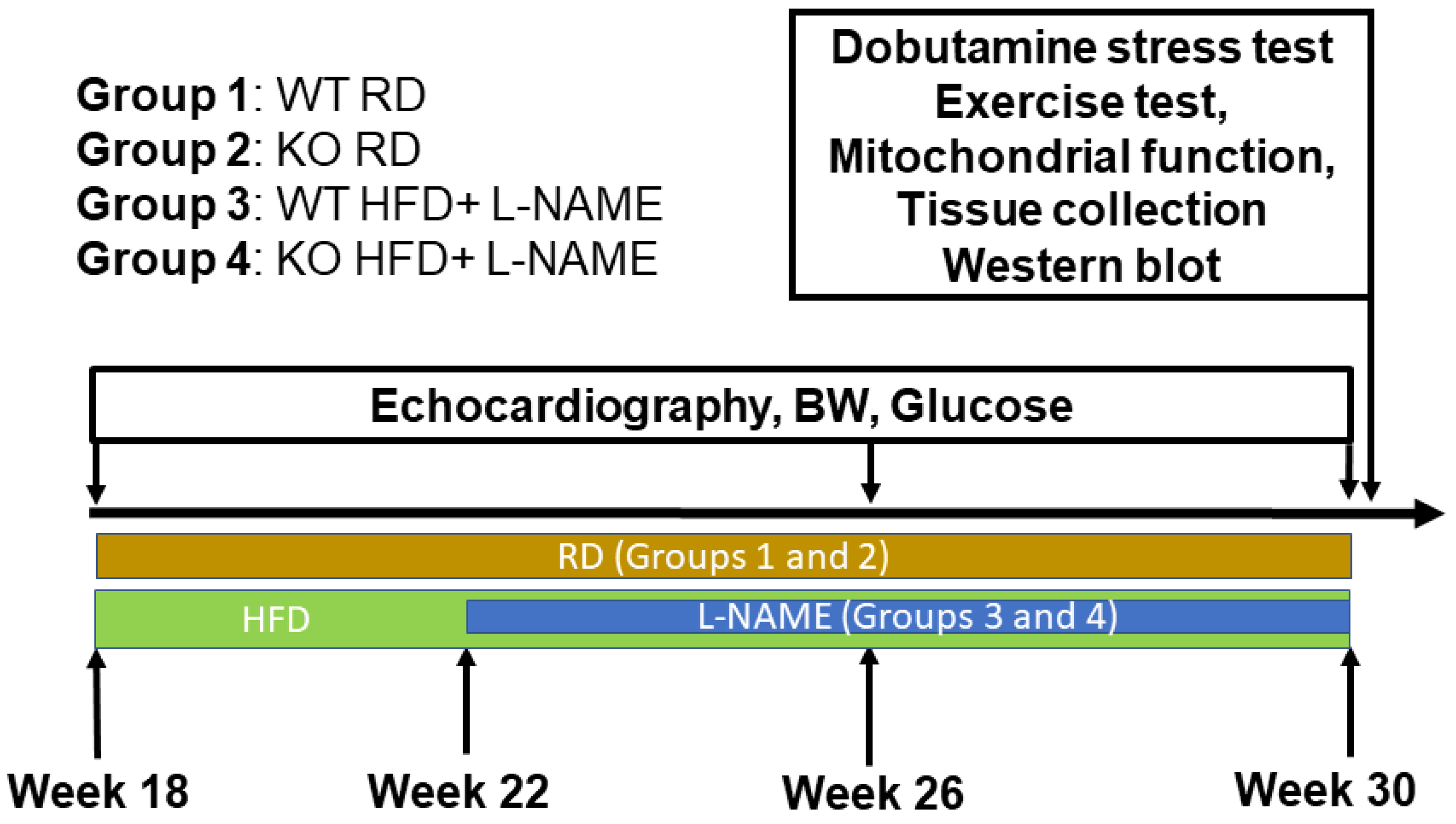 Ijms 26 09383 g009 Ijms 26 09383 g009