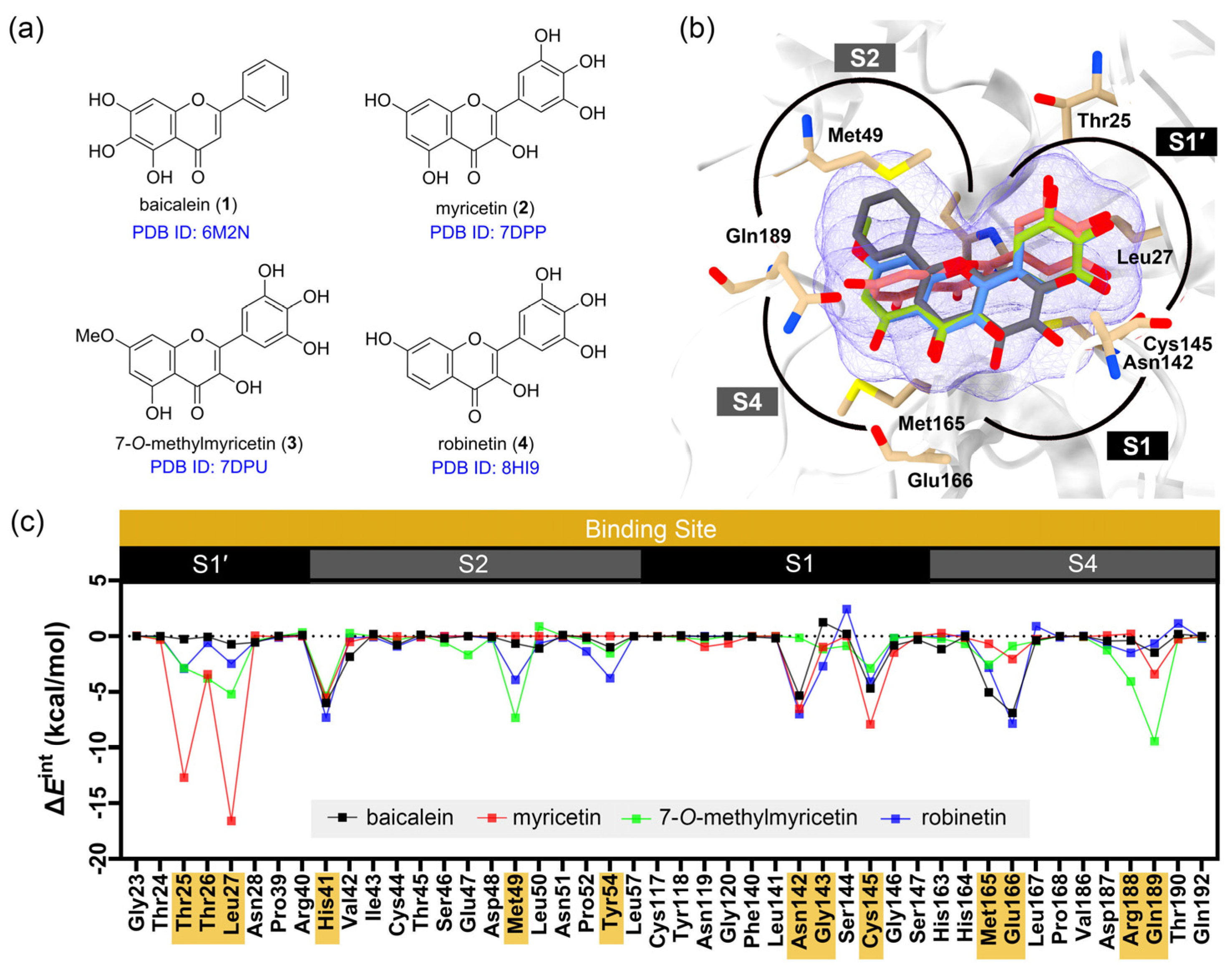 Ijms 26 09742 g001 Ijms 26 09742 g001