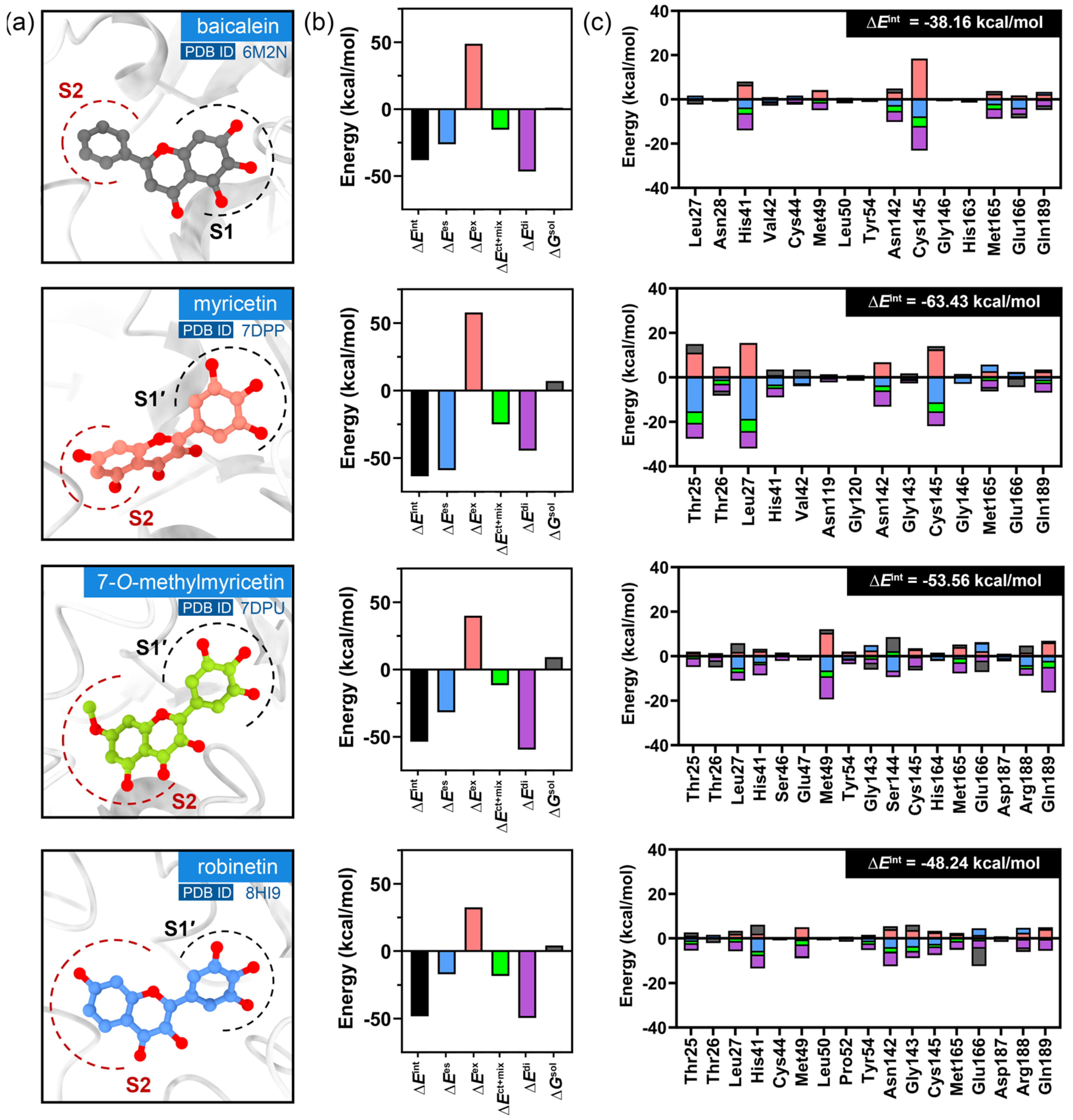 Ijms 26 09742 g002 Ijms 26 09742 g002