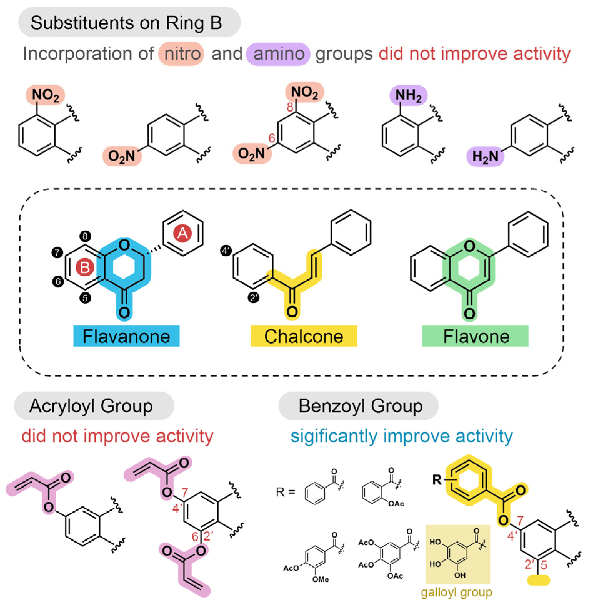 Ijms 26 09742 g006 Ijms 26 09742 g006