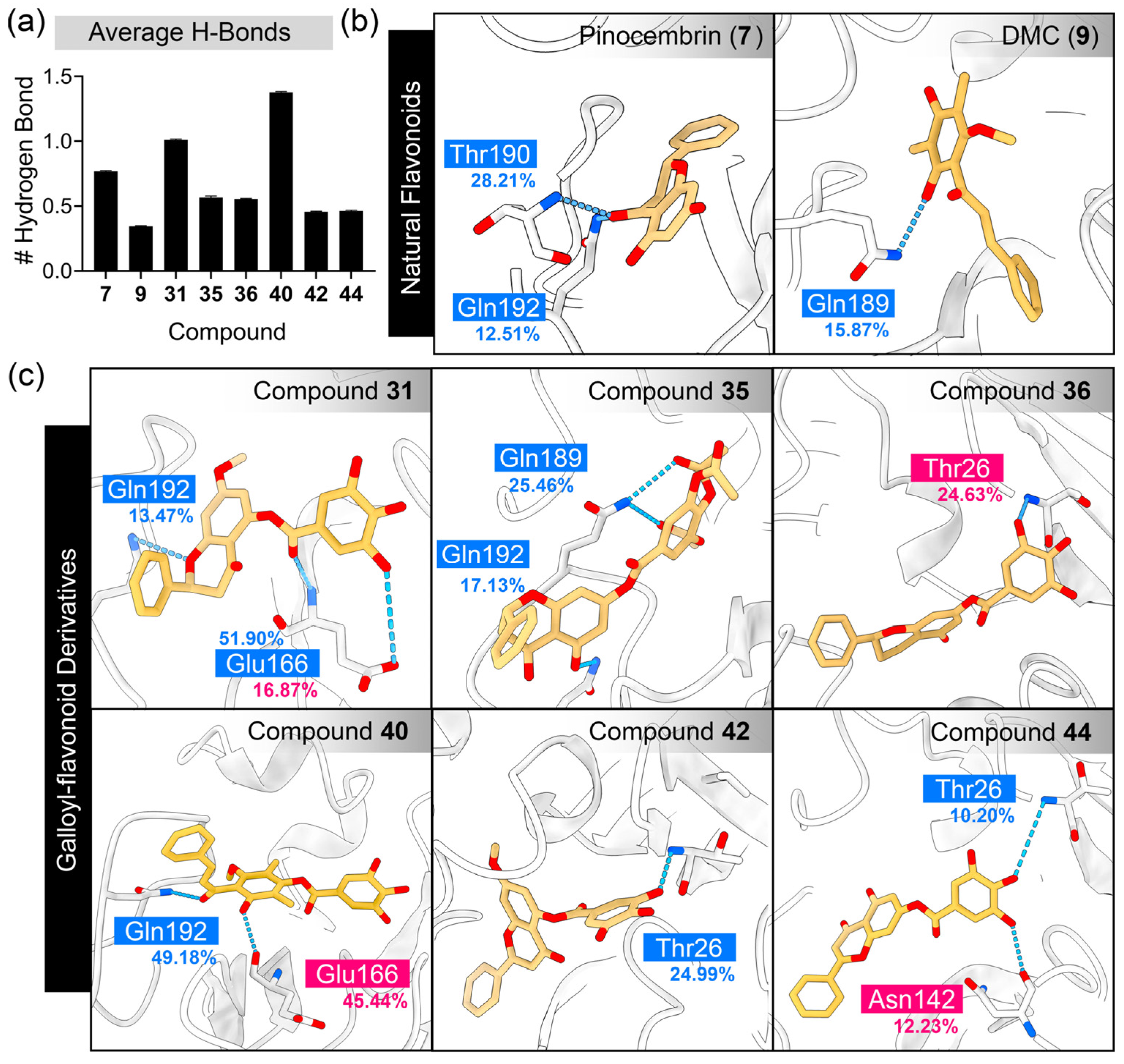 Ijms 26 09742 g007 Ijms 26 09742 g007