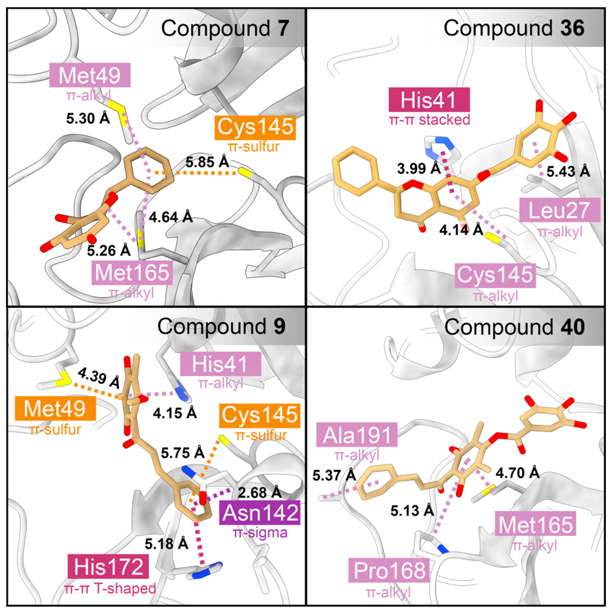 Ijms 26 09742 g008 Ijms 26 09742 g008