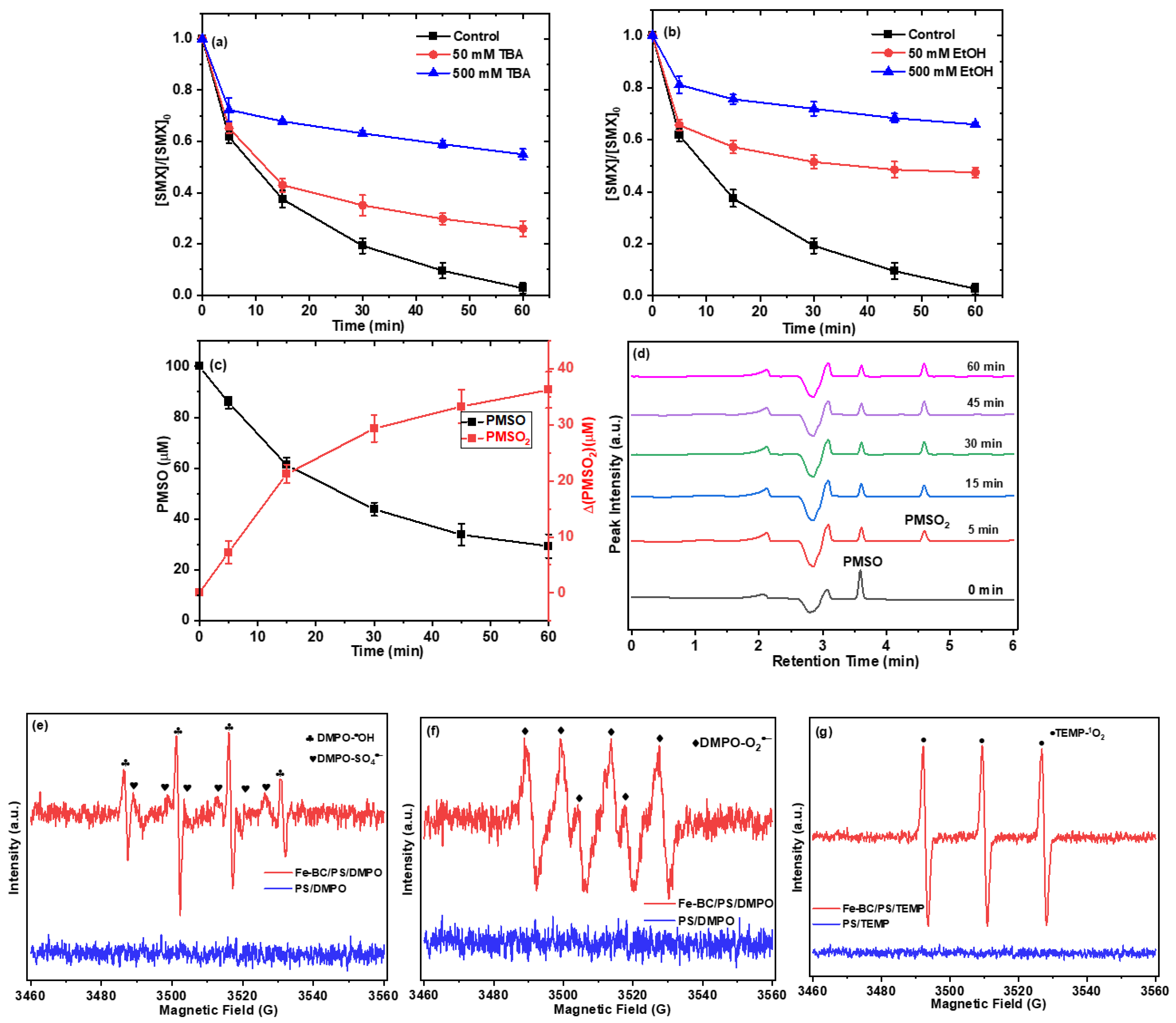 Ijms 26 09971 g004 Ijms 26 09971 g004