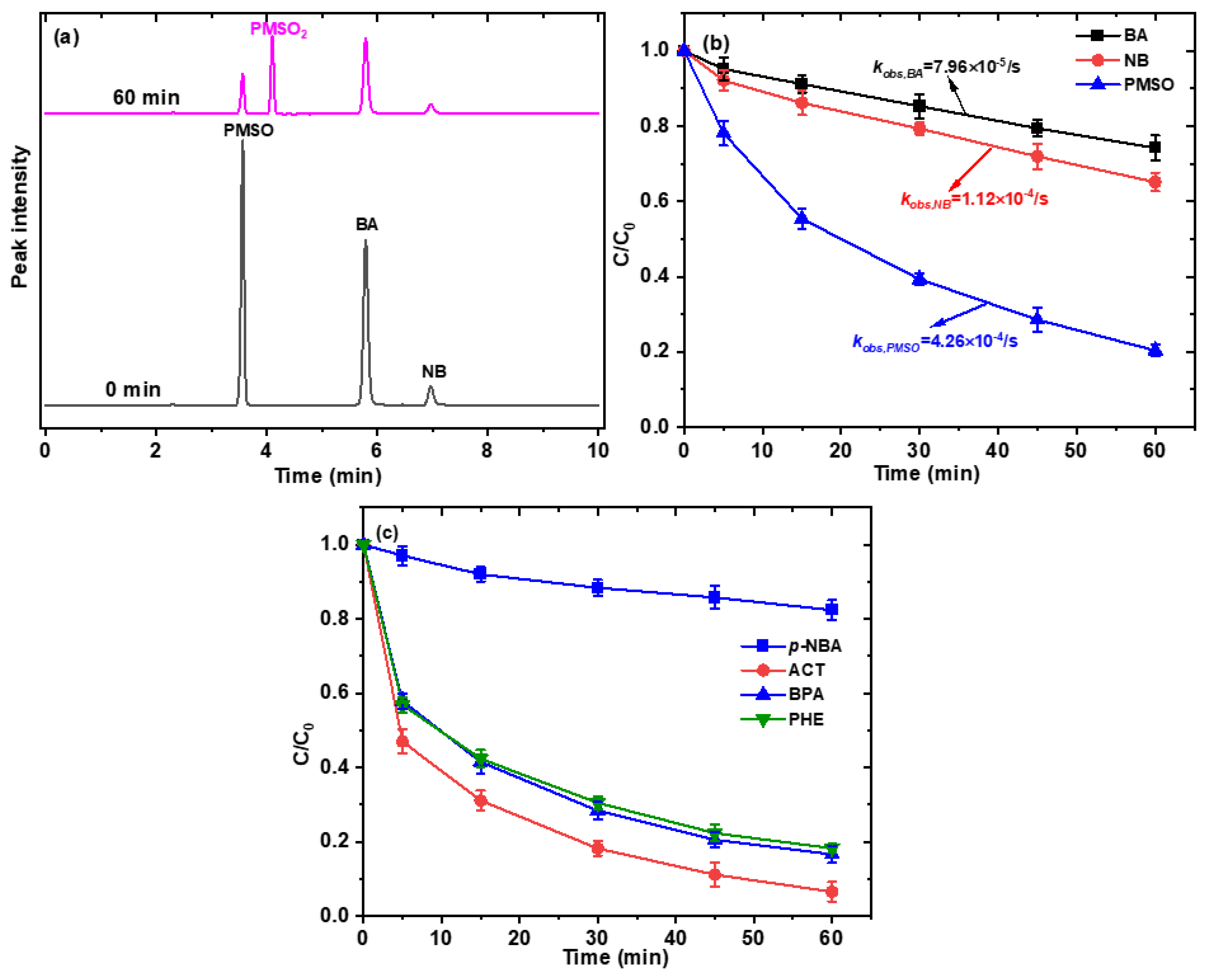 Ijms 26 09971 g005 Ijms 26 09971 g005
