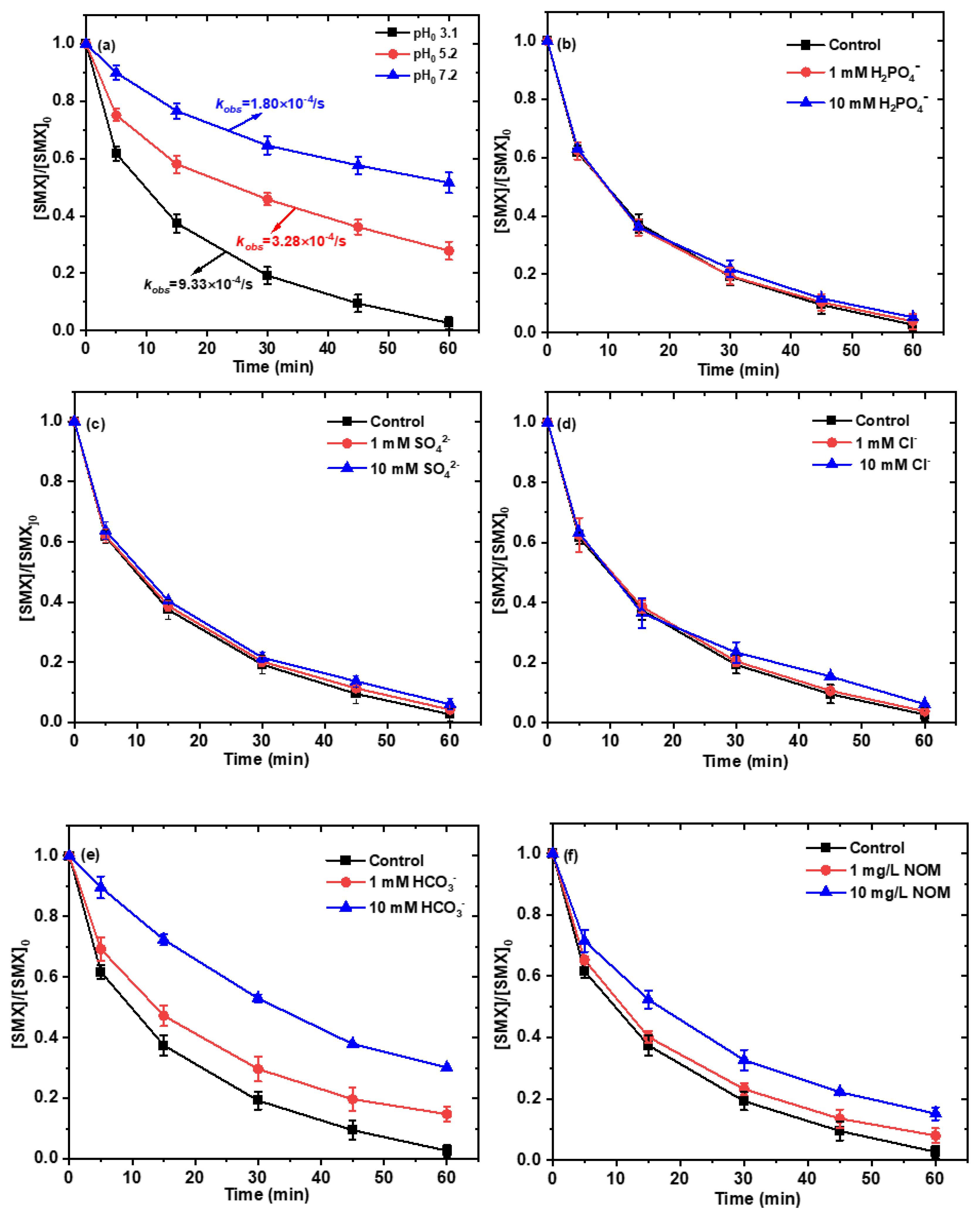 Ijms 26 09971 g006 Ijms 26 09971 g006