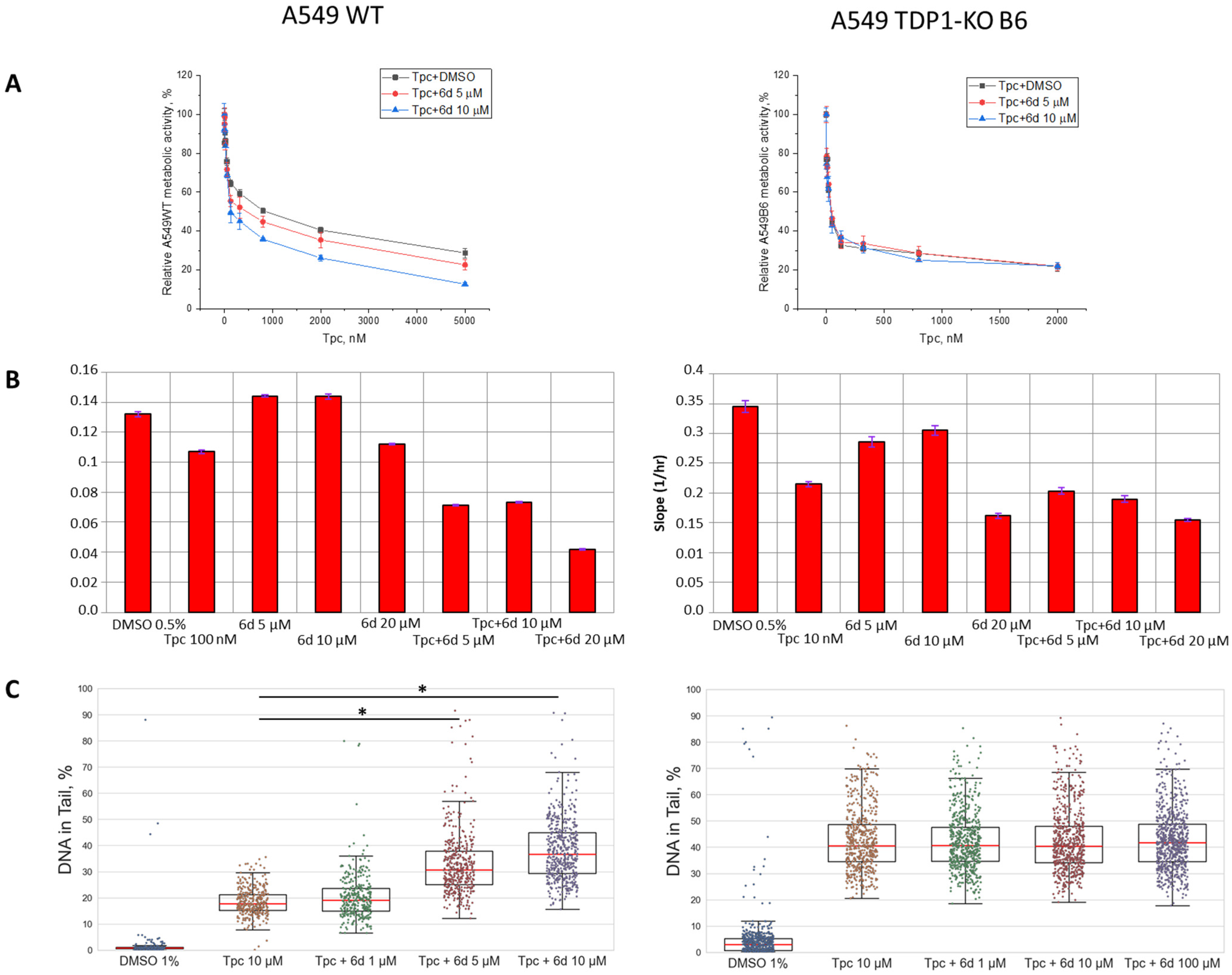 Ijms 26 10193 g003 Ijms 26 10193 g003