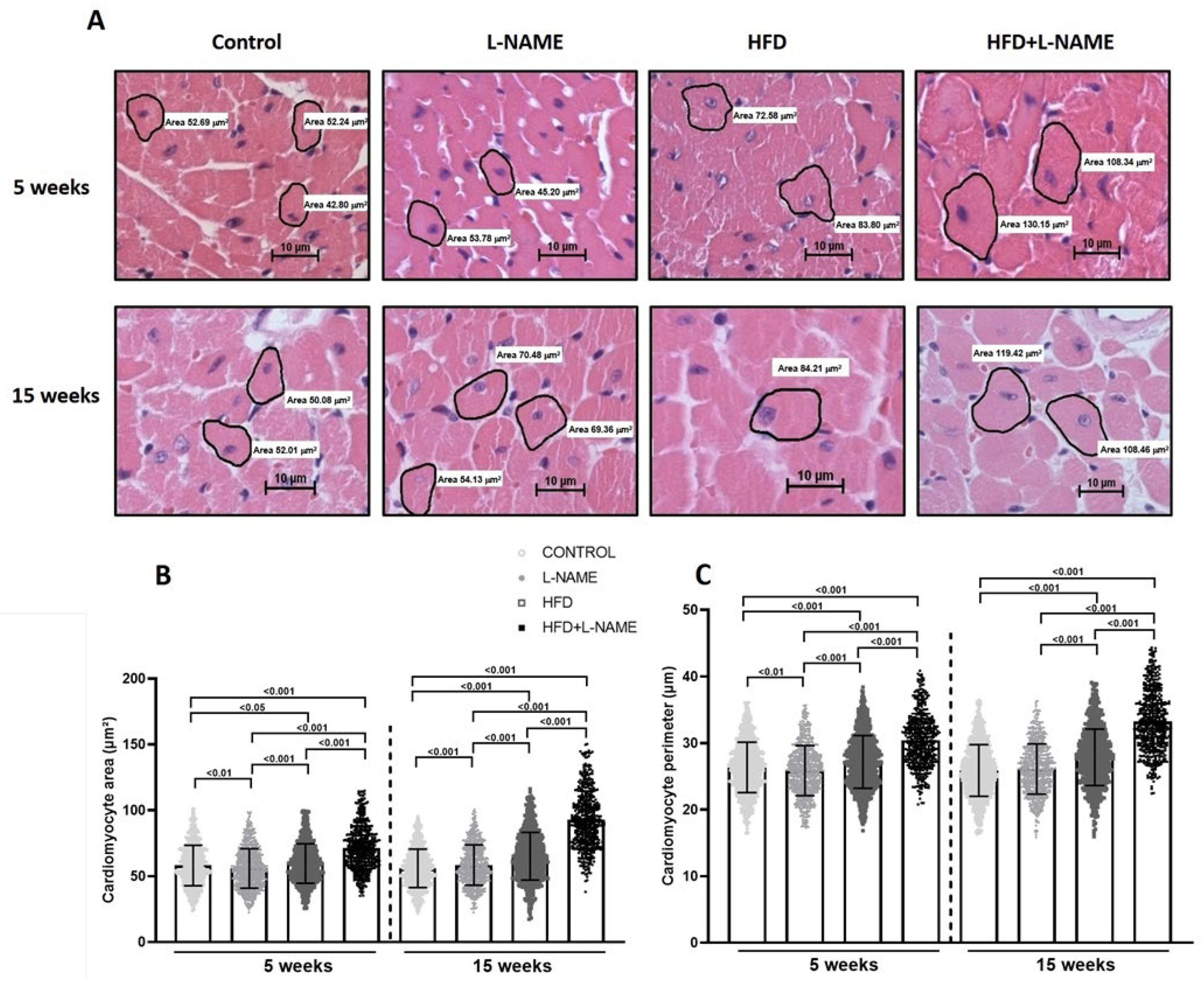Ijms 26 10196 g006 Ijms 26 10196 g006