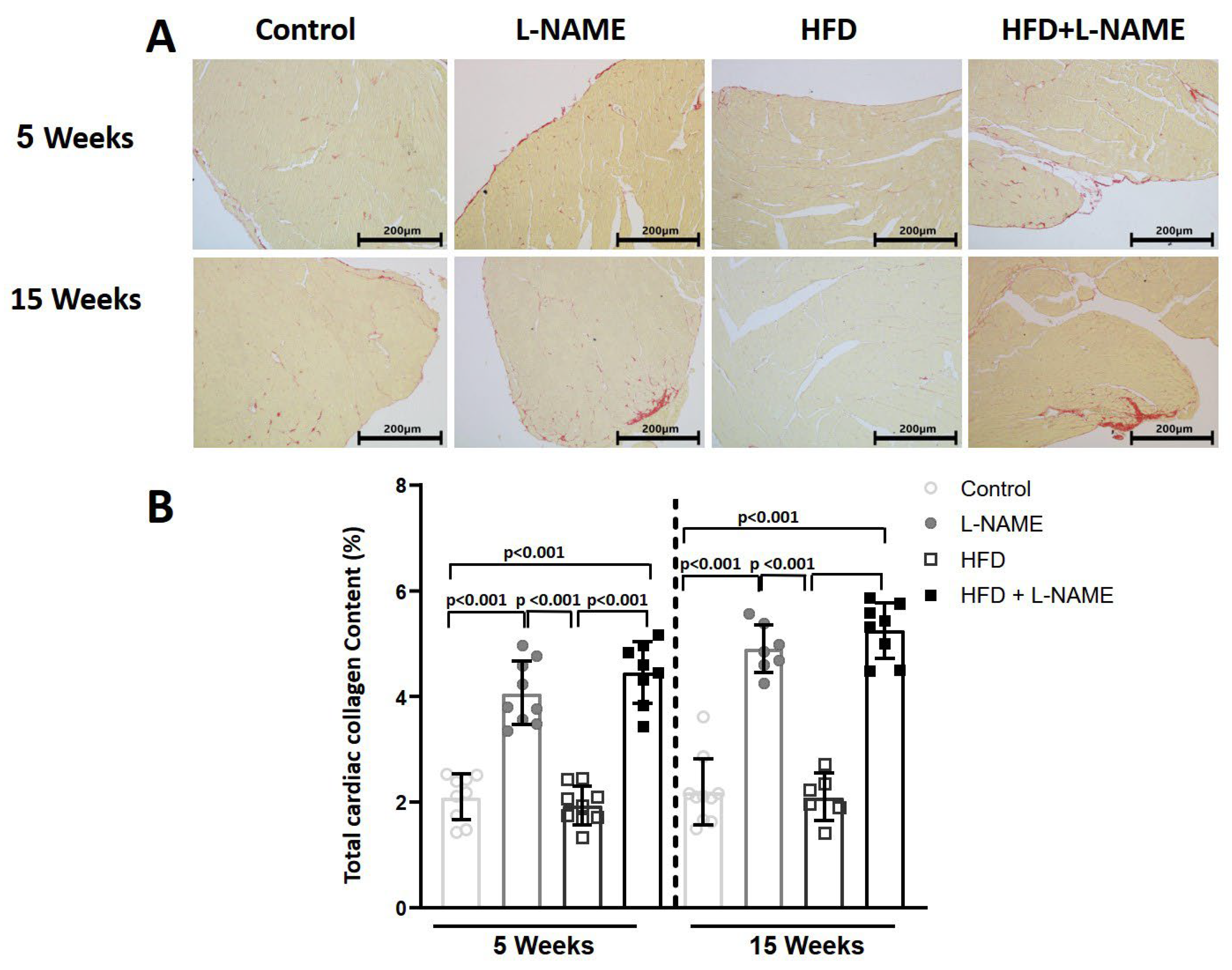 Ijms 26 10196 g007 Ijms 26 10196 g007
