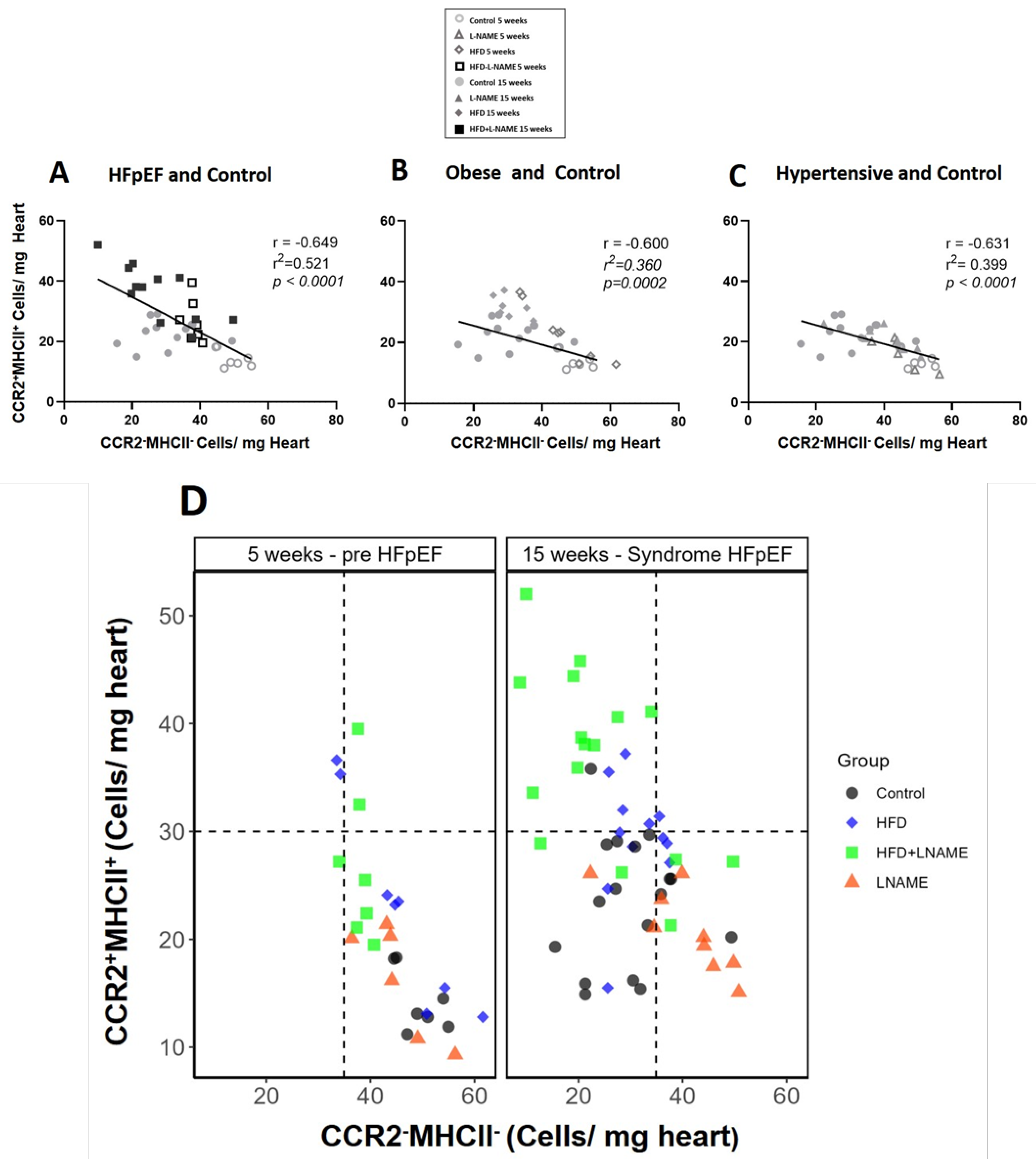 Ijms 26 10196 g009 Ijms 26 10196 g009