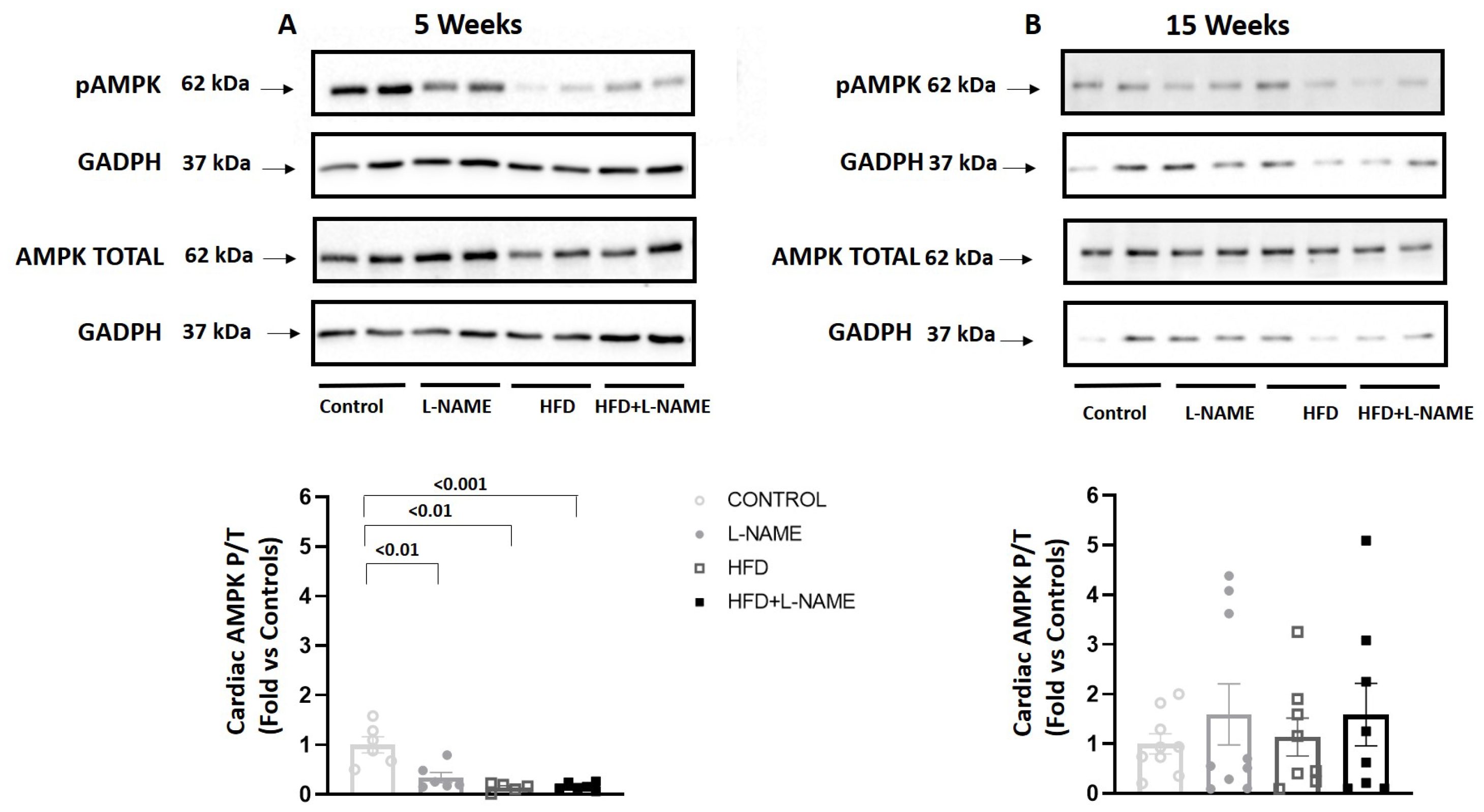 Ijms 26 10196 g011 Ijms 26 10196 g011