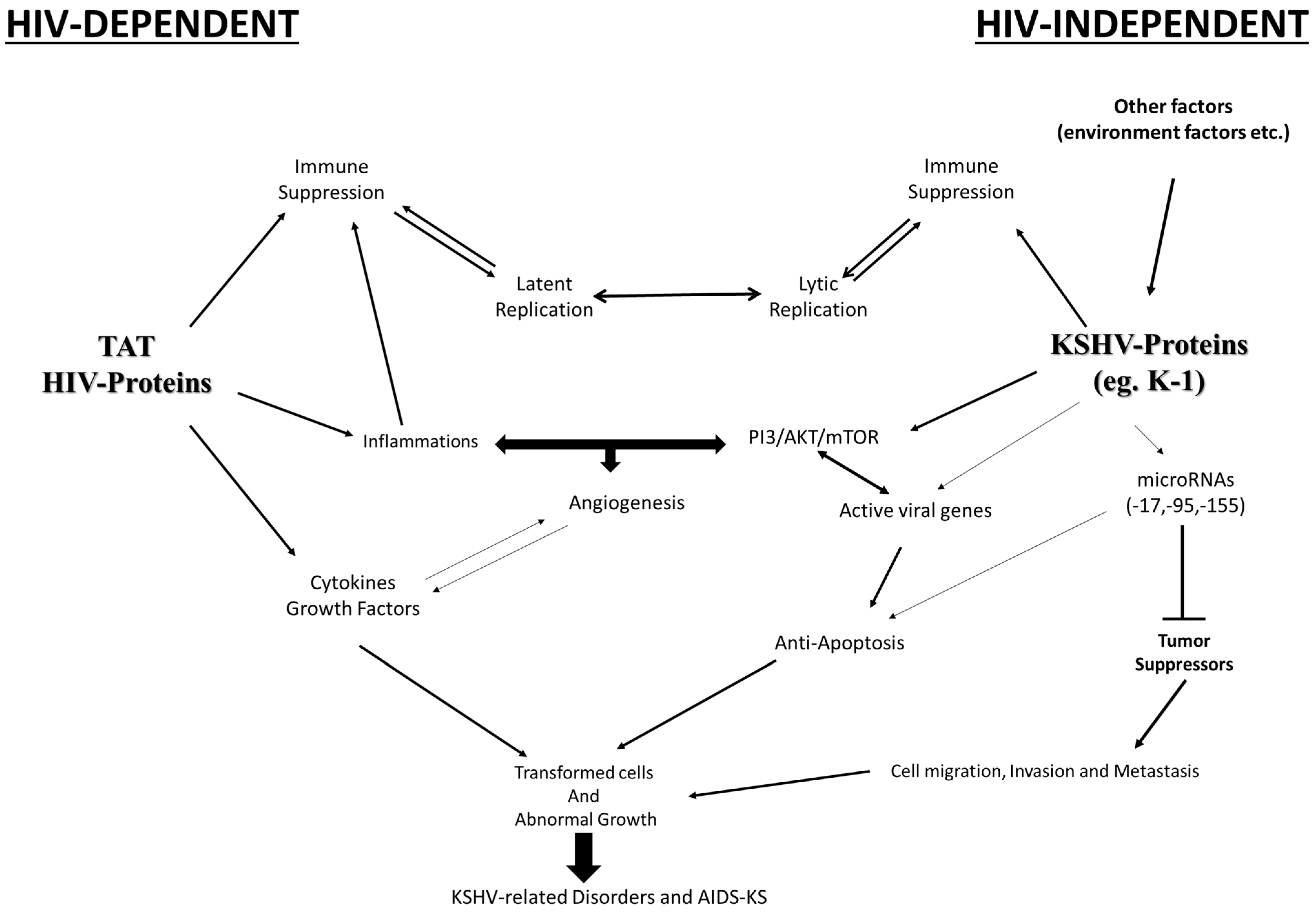 Ijms 26 10198 g003 Ijms 26 10198 g003