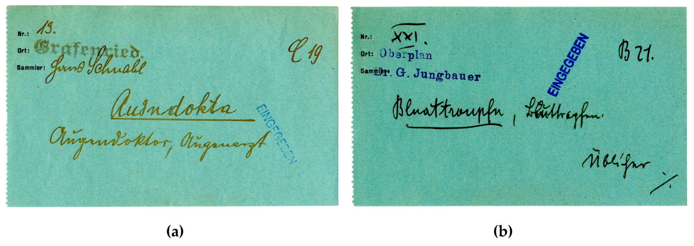 Informatics 06 00034 g016