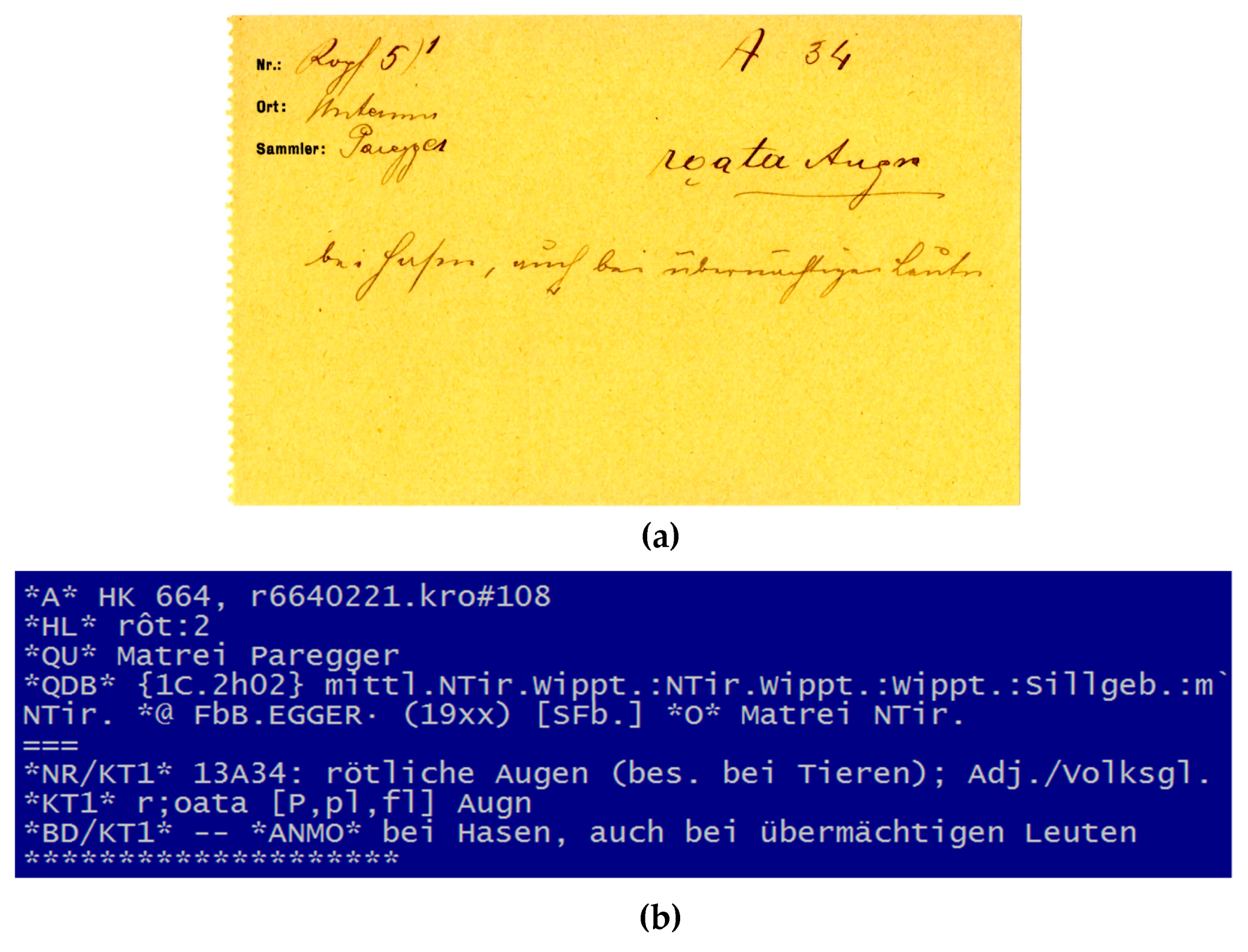 Informatics 06 00034 g017a