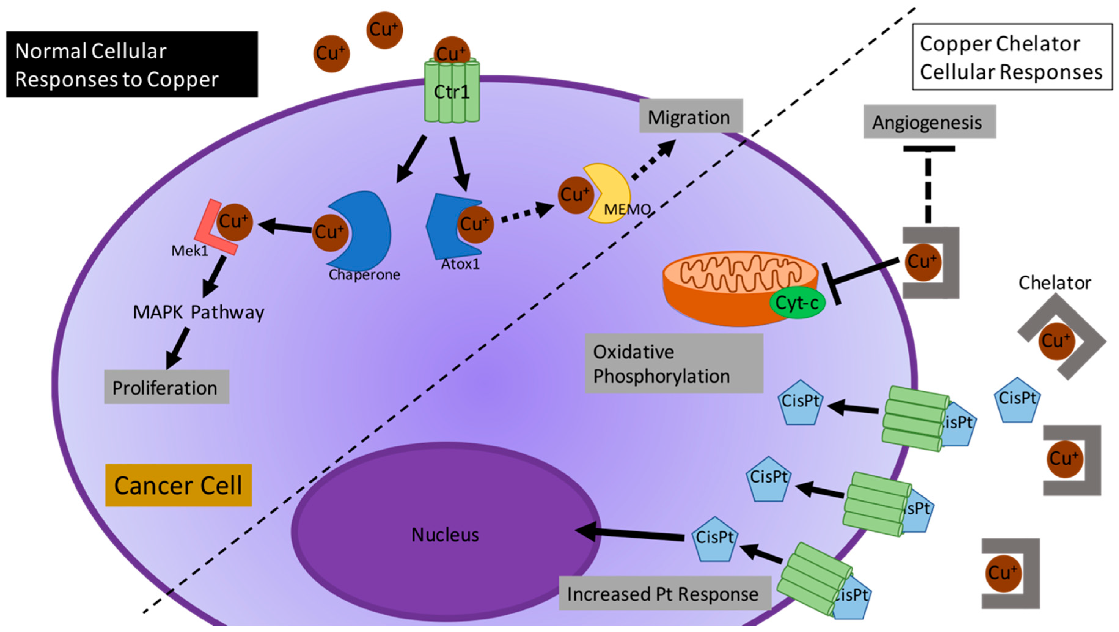 Inorganics 06 00126 g001