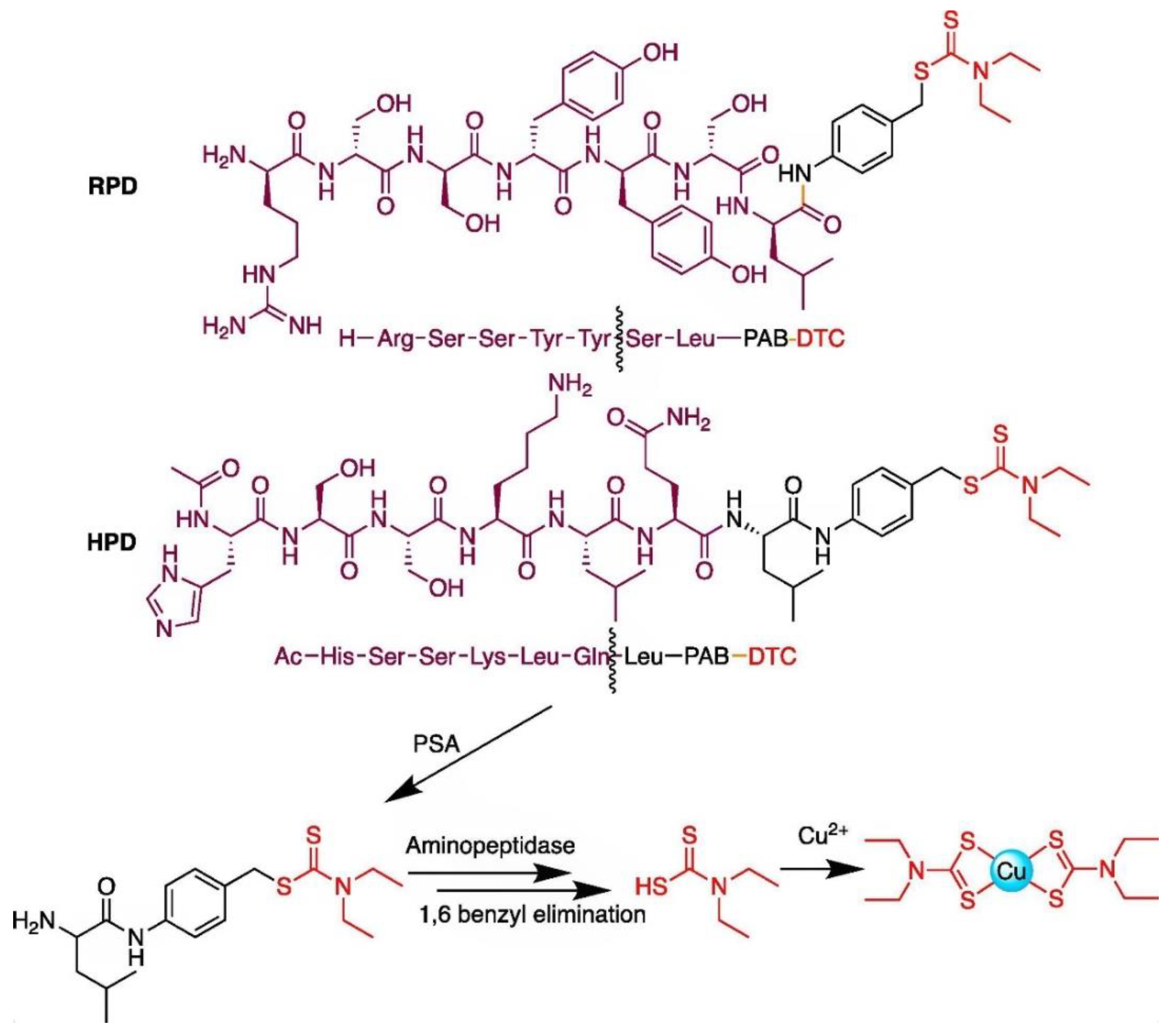 Inorganics 09 00070 g027