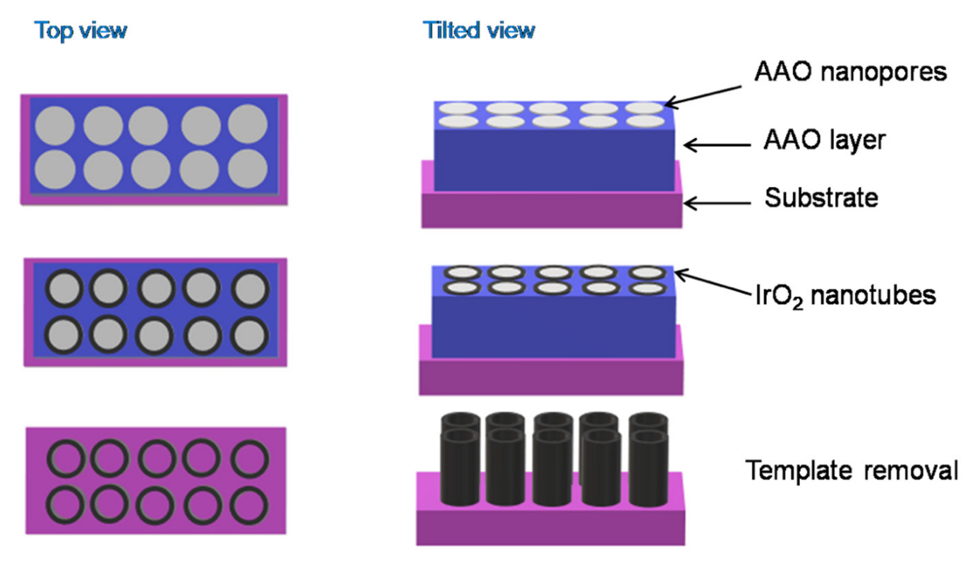 Inorganics 10 00115 g005