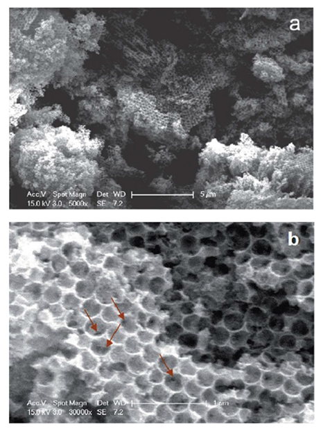 Inorganics 10 00115 g019