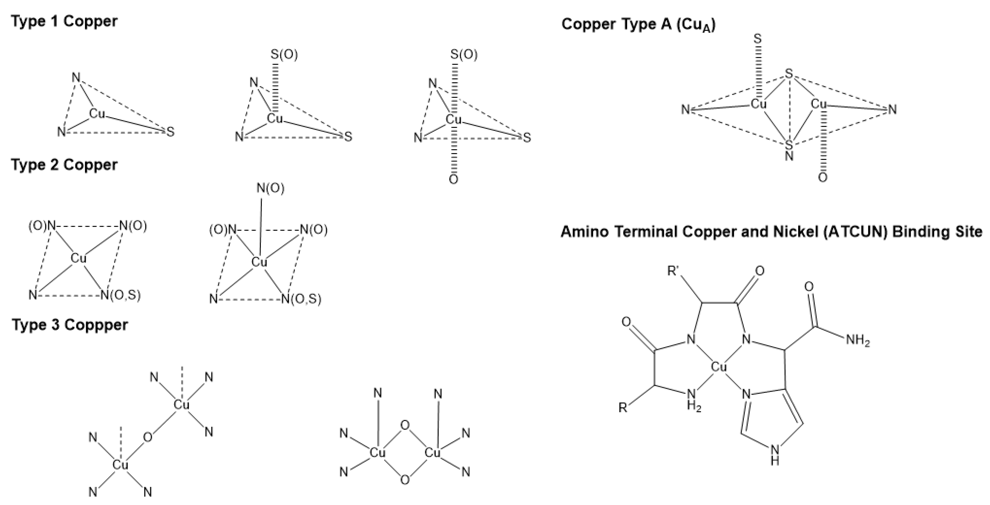 Inorganics 11 00252 g001