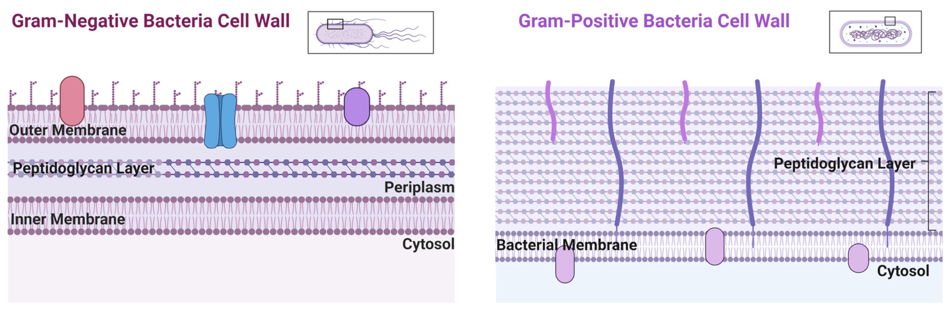 Inorganics 11 00252 g003