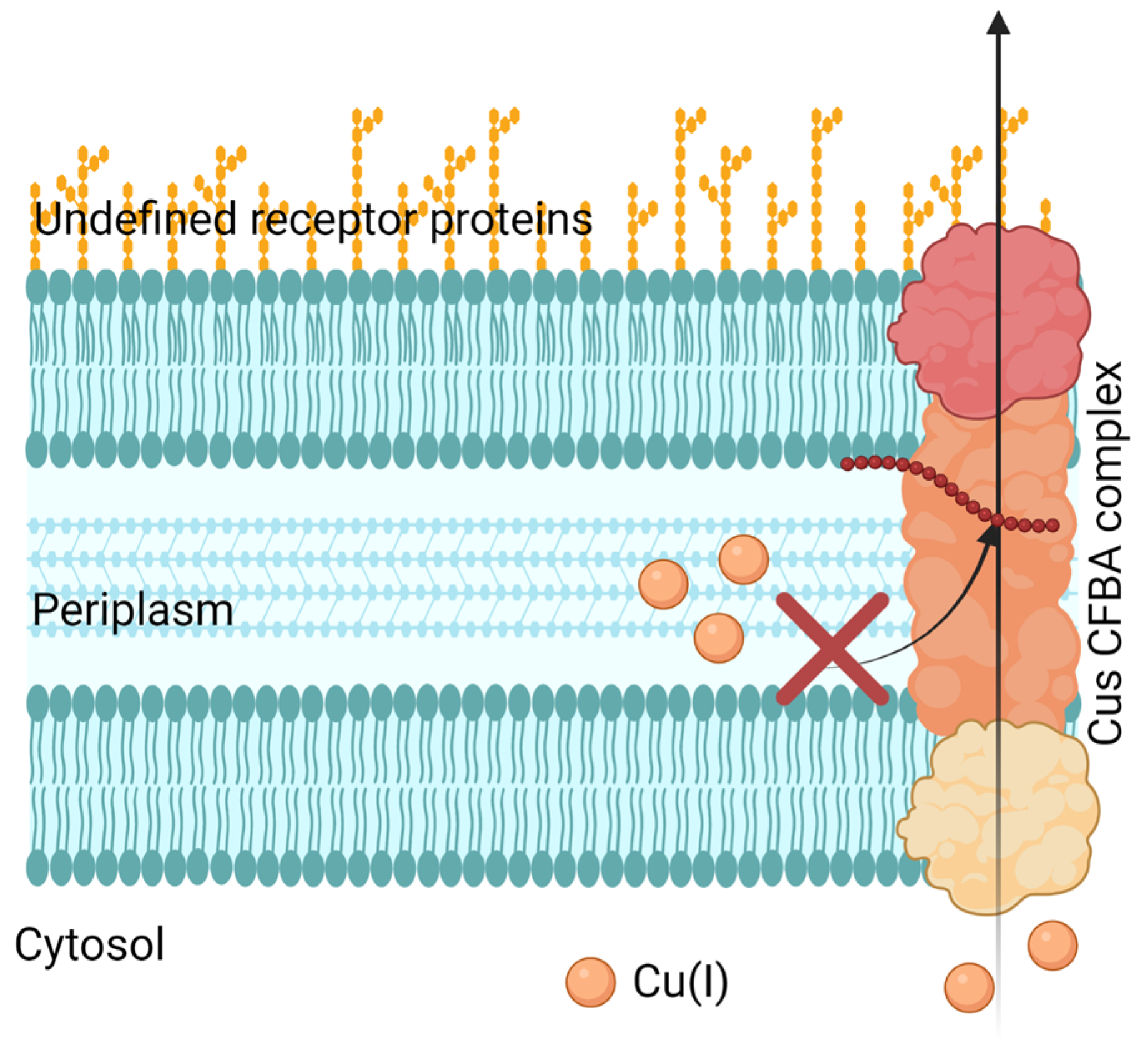 Inorganics 11 00252 g005