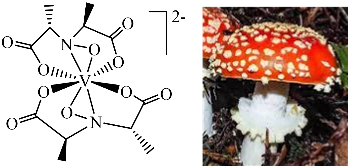 Inorganics 11 00256 g003