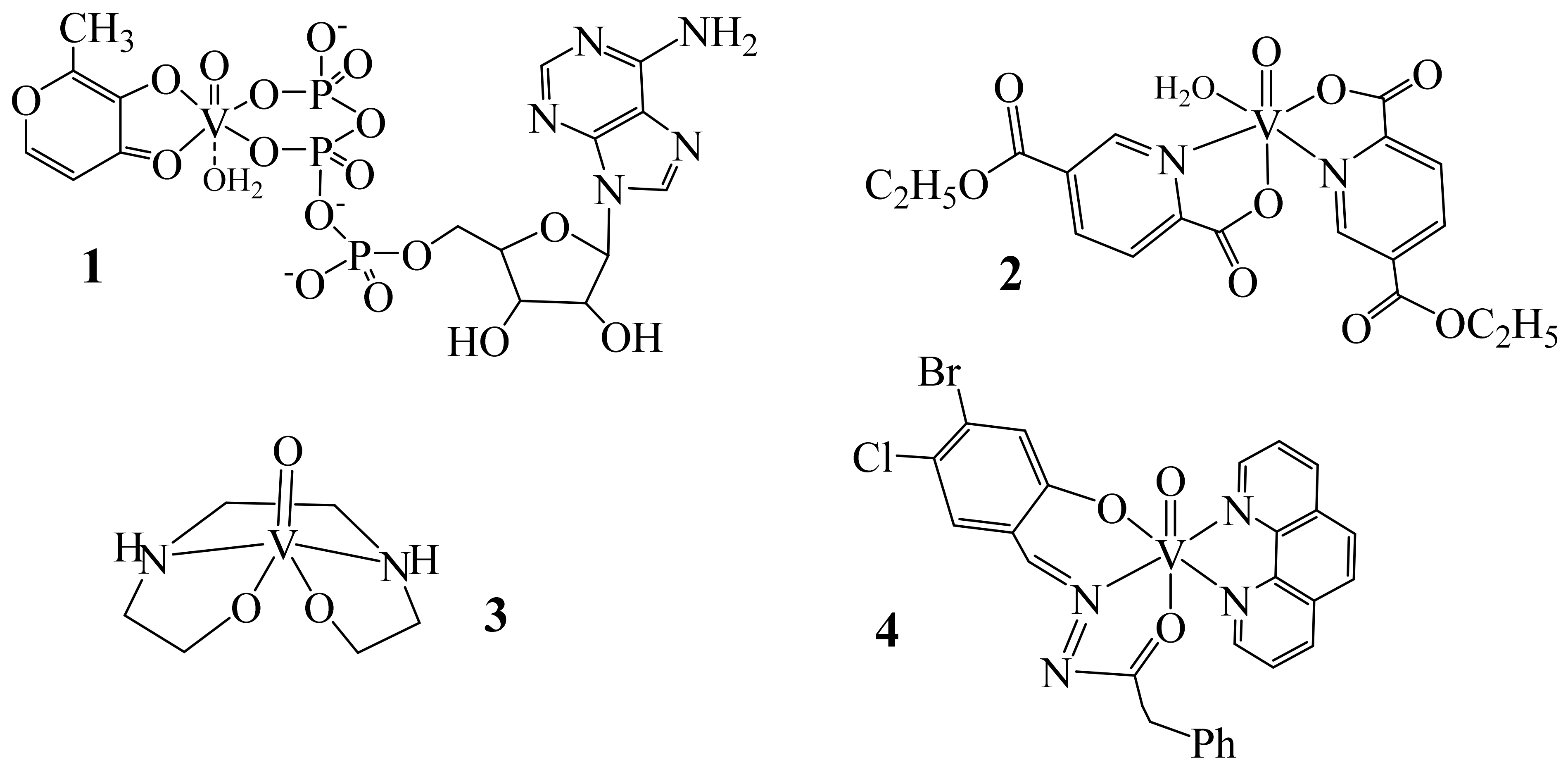Inorganics 11 00256 g005