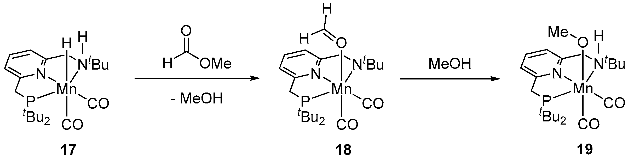 Inorganics 11 00302 sch007