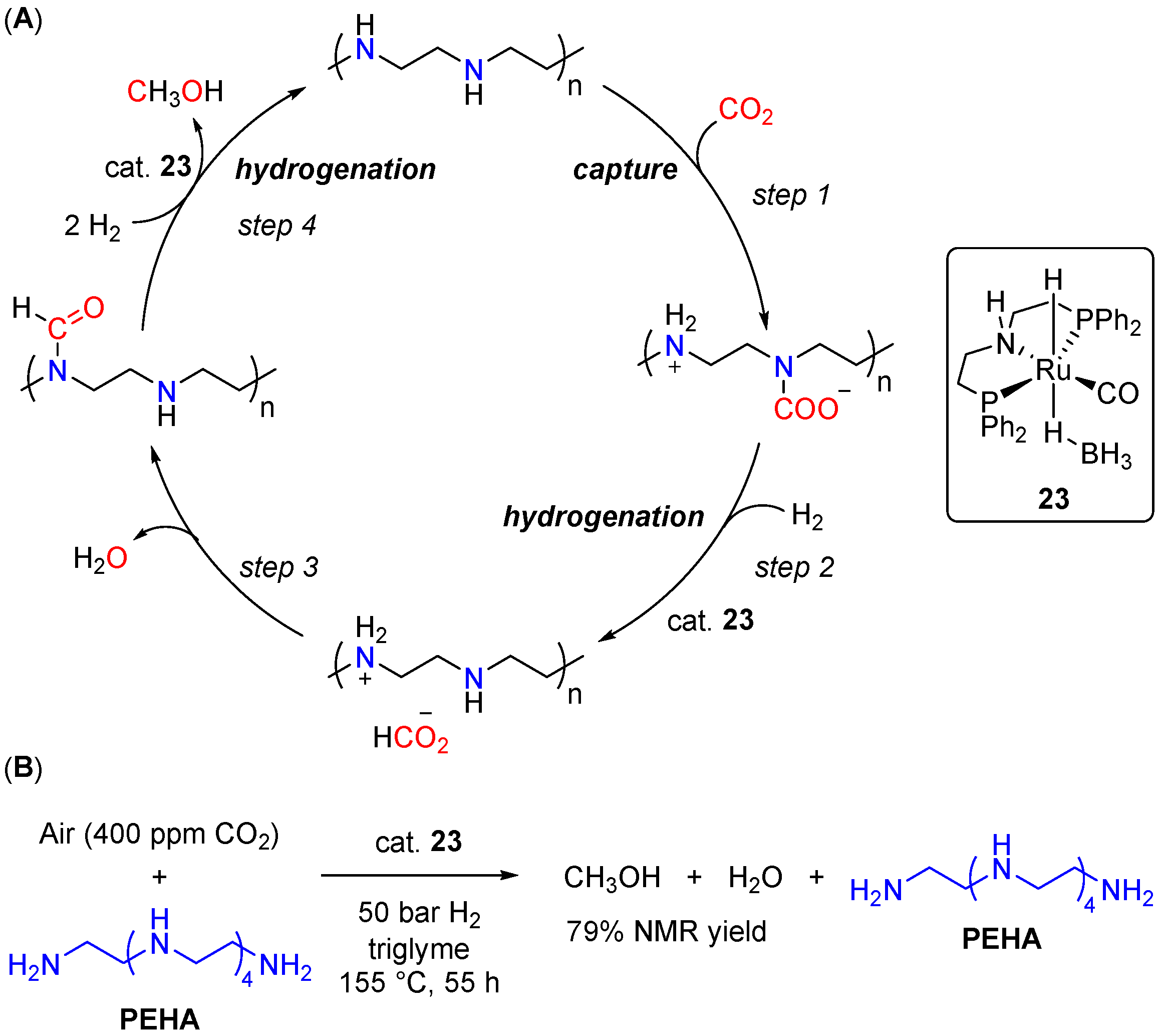 Inorganics 11 00302 sch013