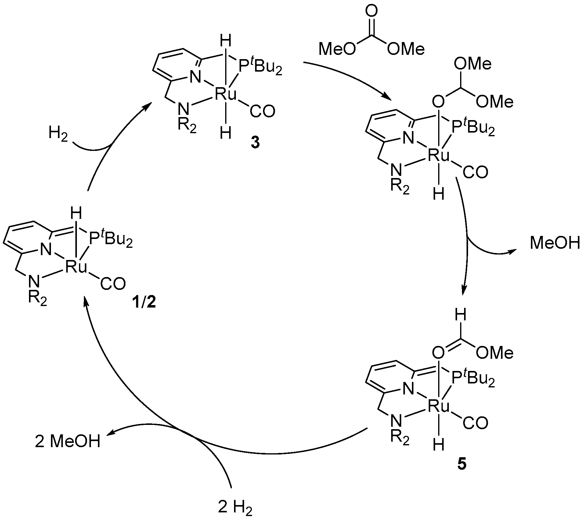 Inorganics 11 00302 sch023