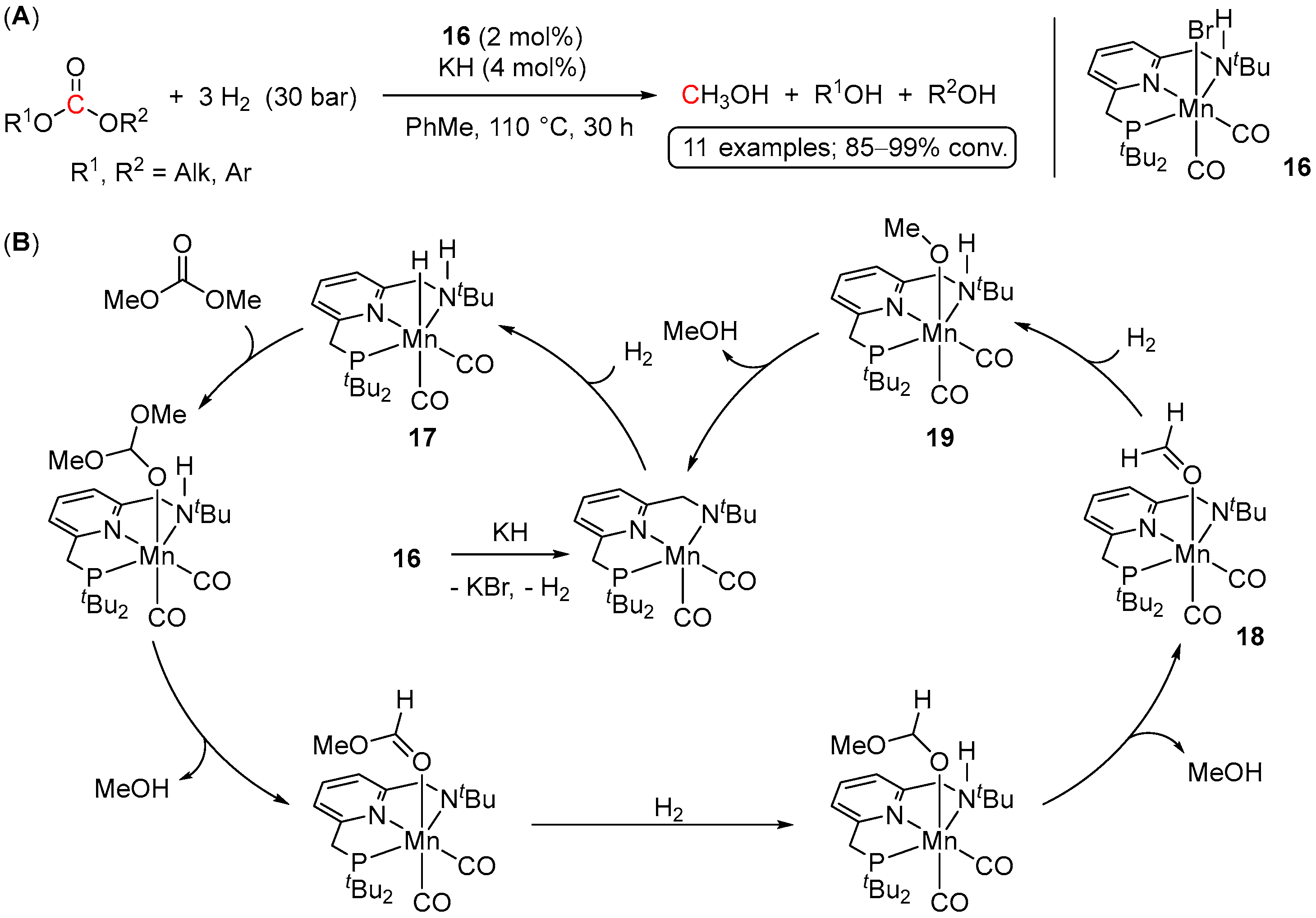 Inorganics 11 00302 sch027