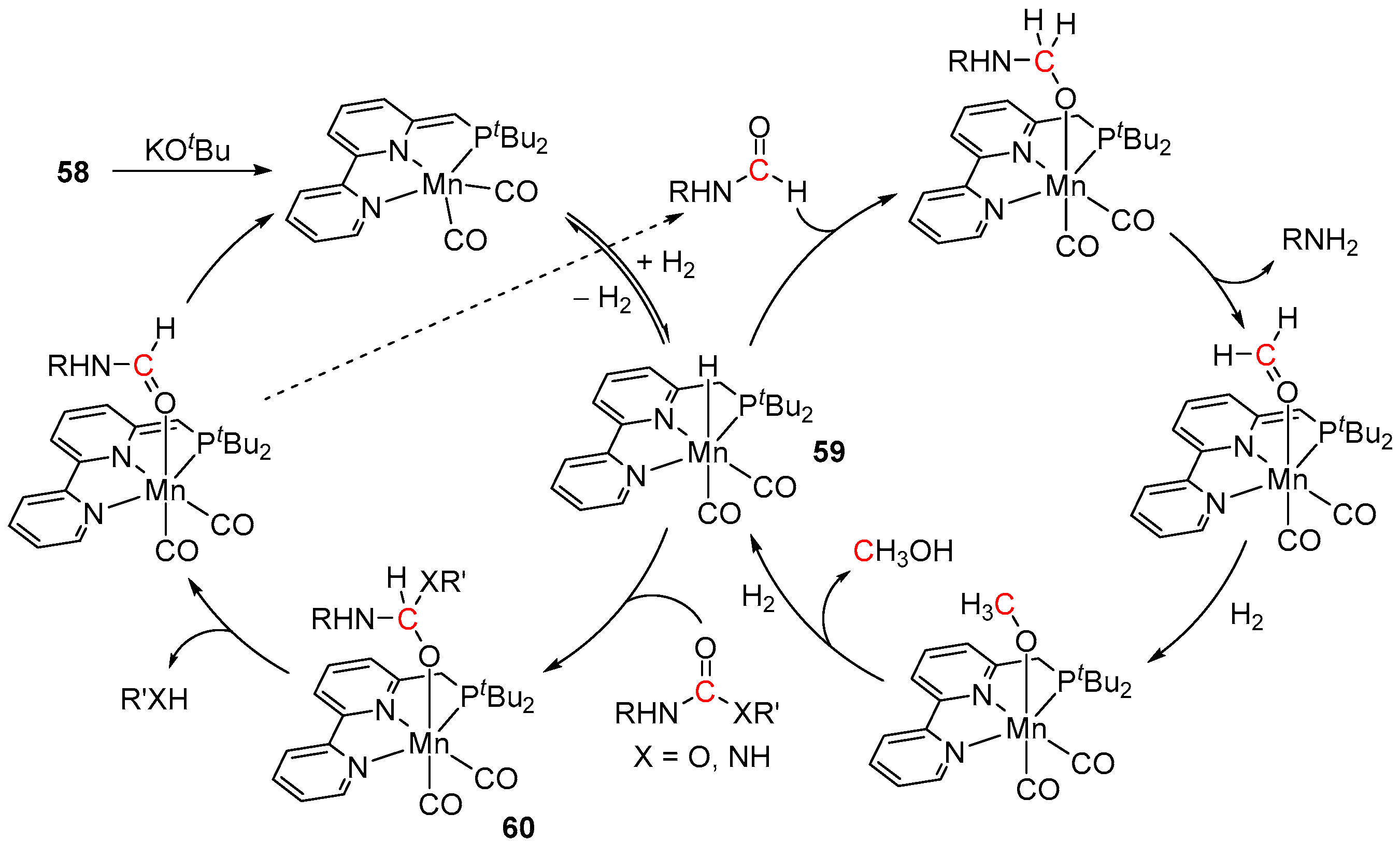 Inorganics 11 00302 sch043