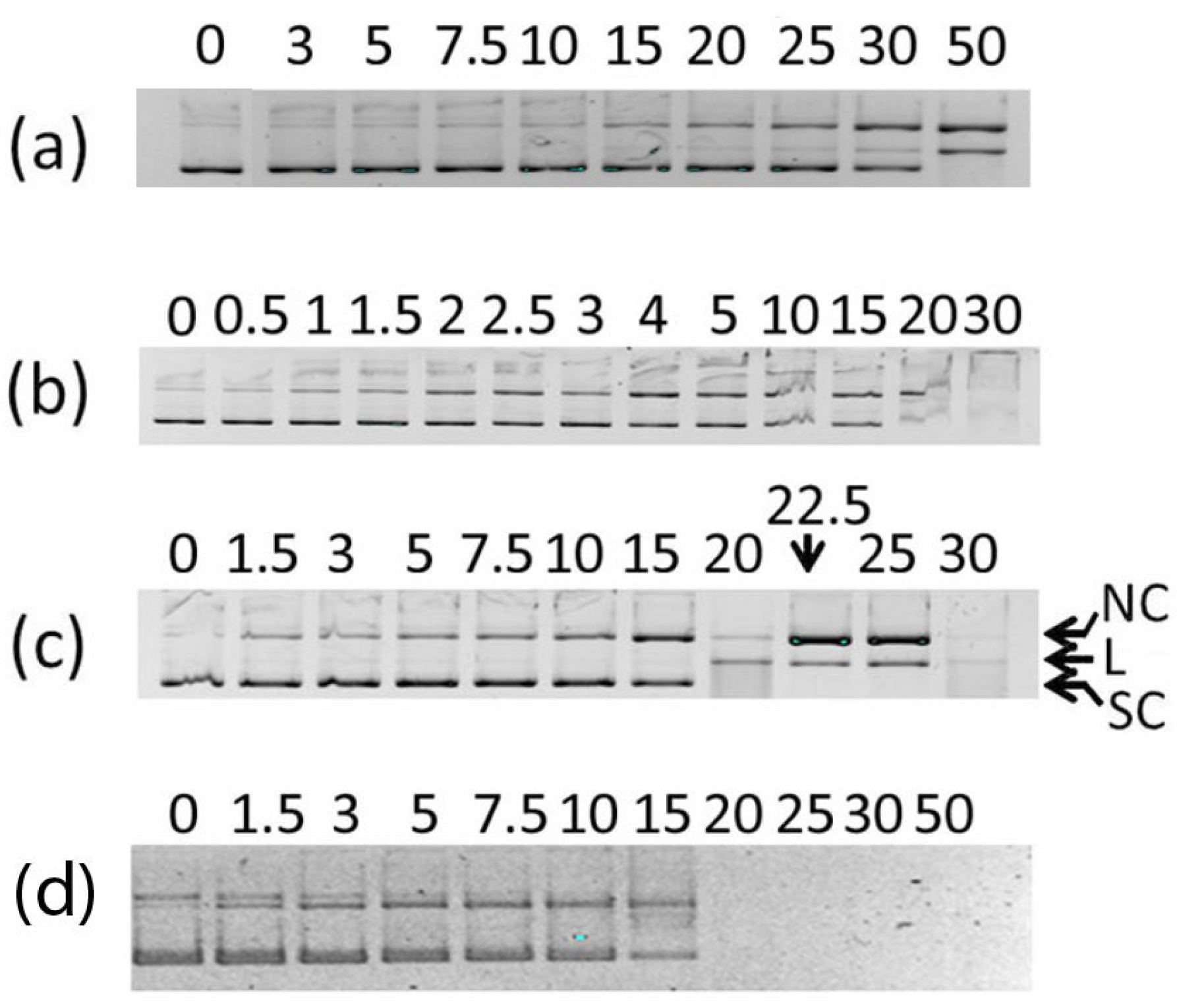 Inorganics 11 00396 g008