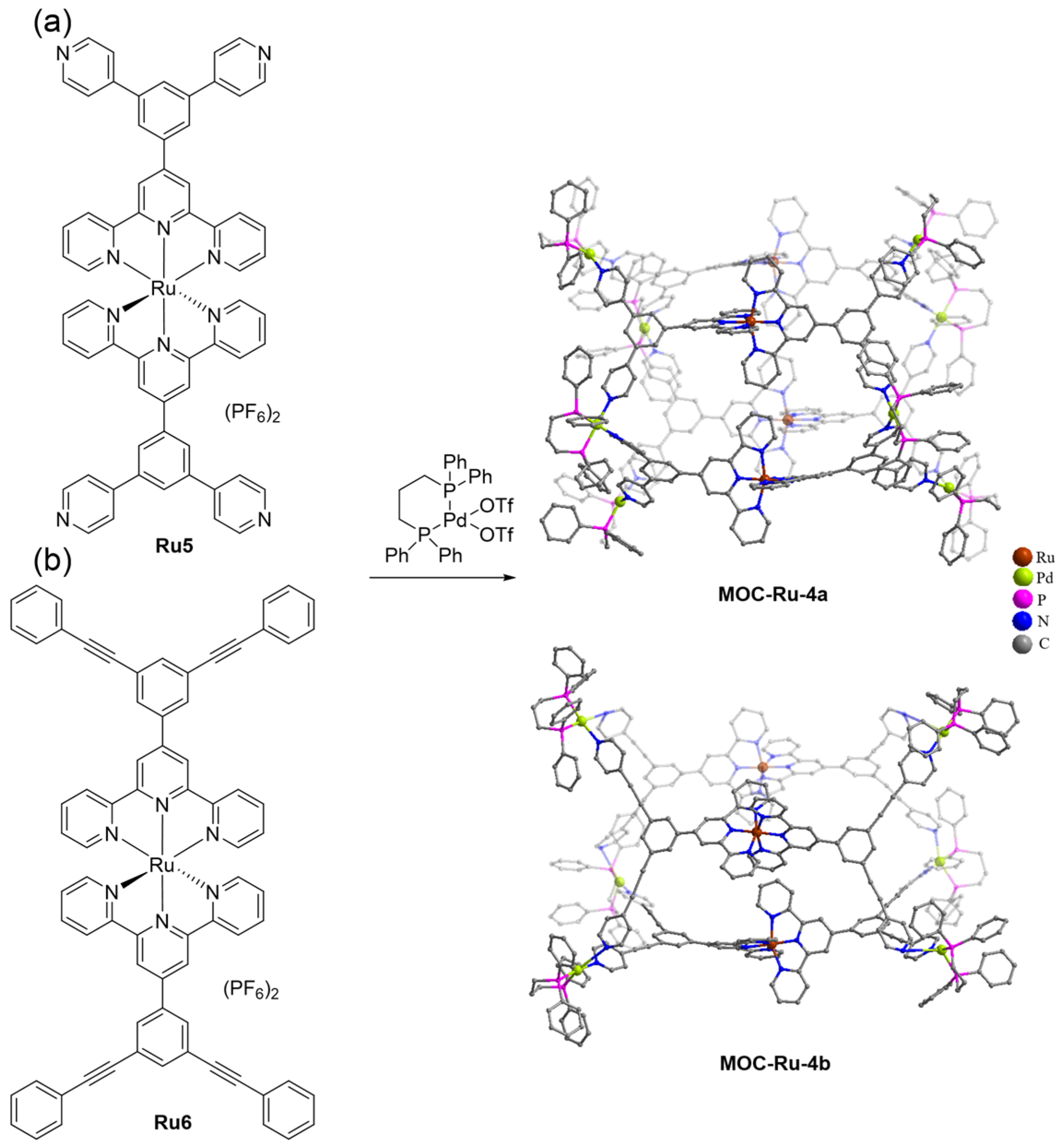 Inorganics 11 00436 sch005