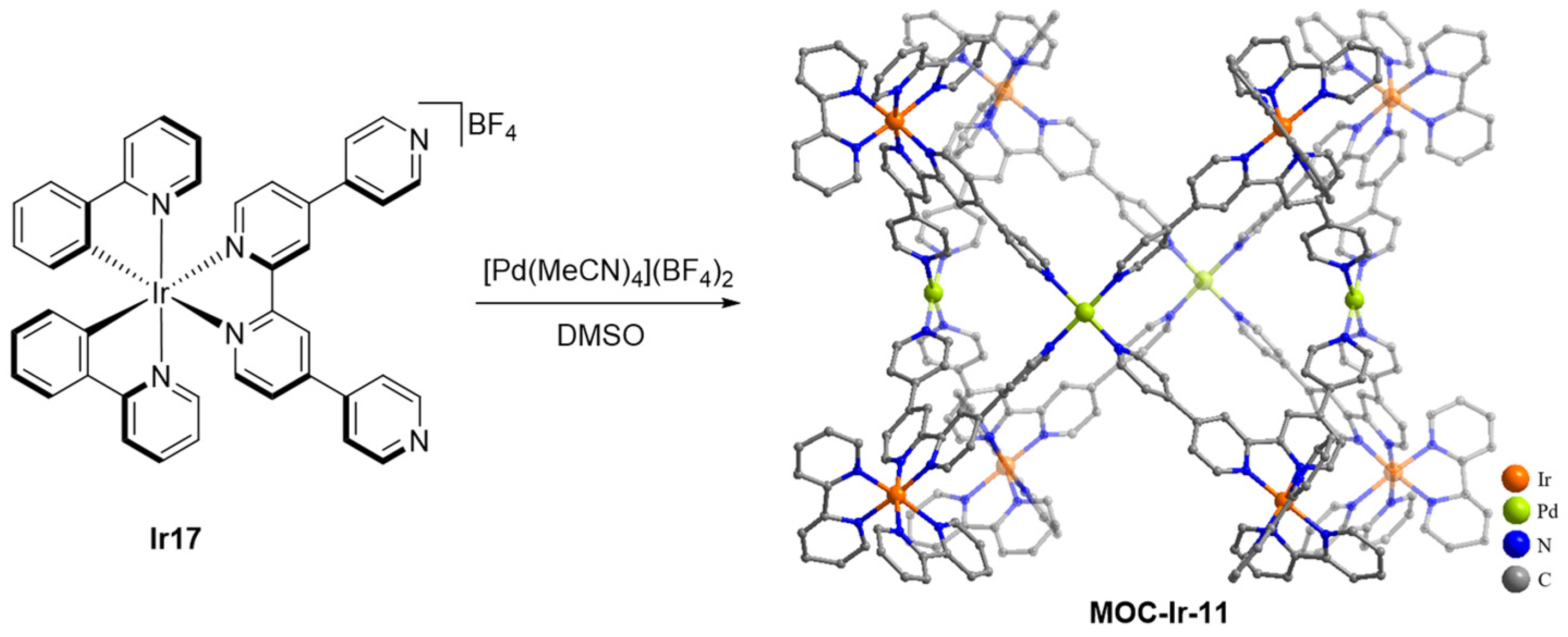 Inorganics 11 00436 sch011