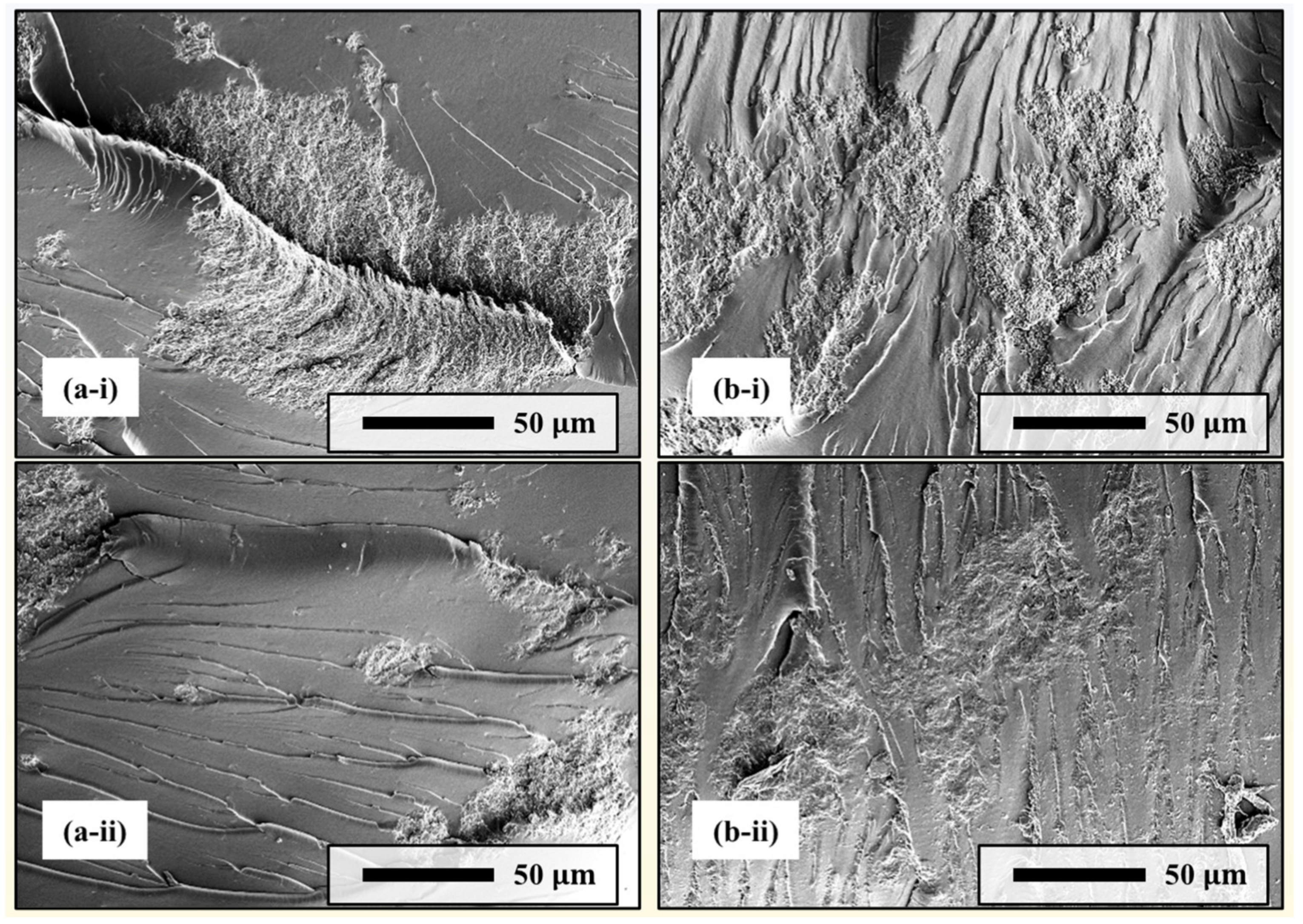 Inorganics 11 00454 g004