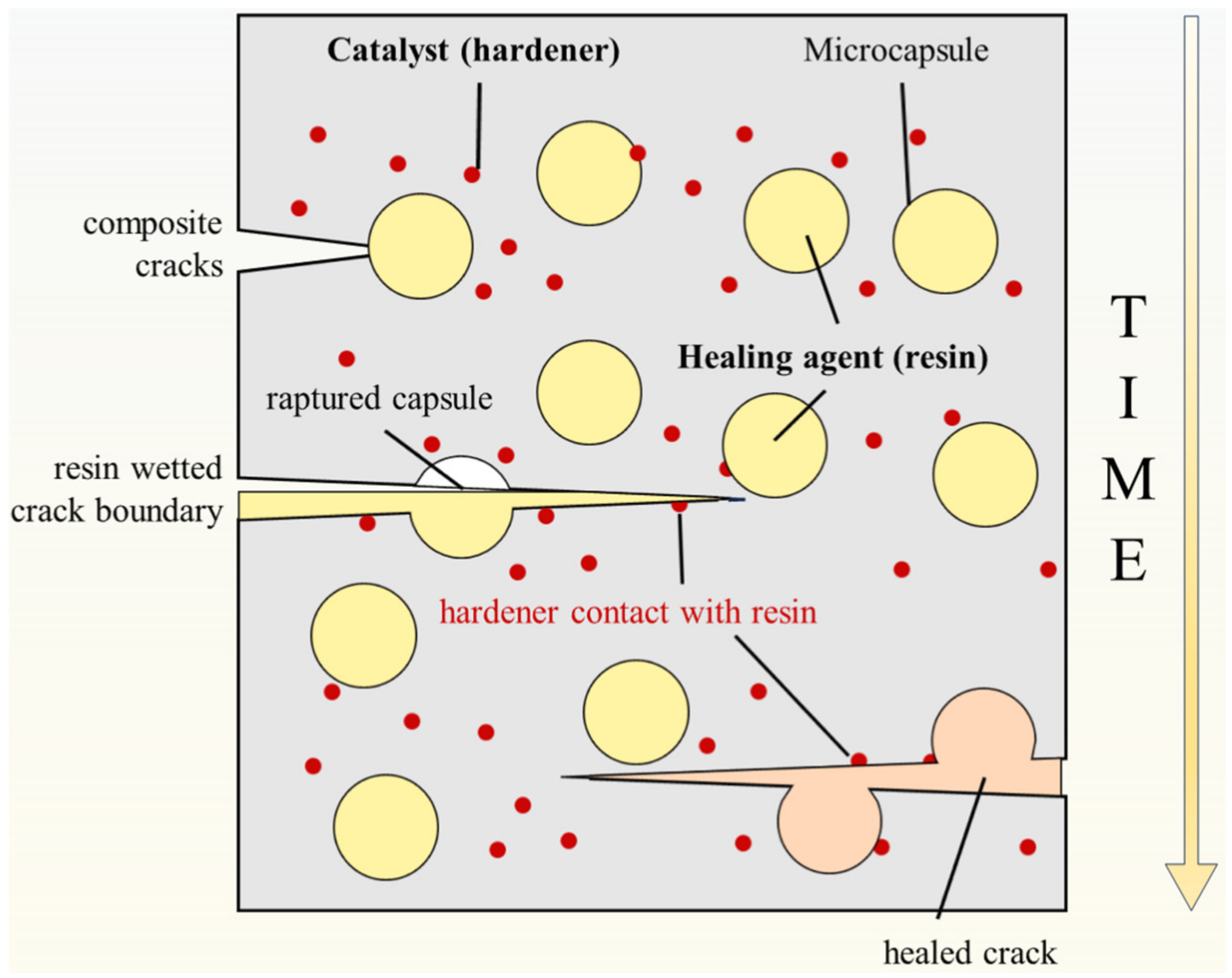 Inorganics 11 00454 g007