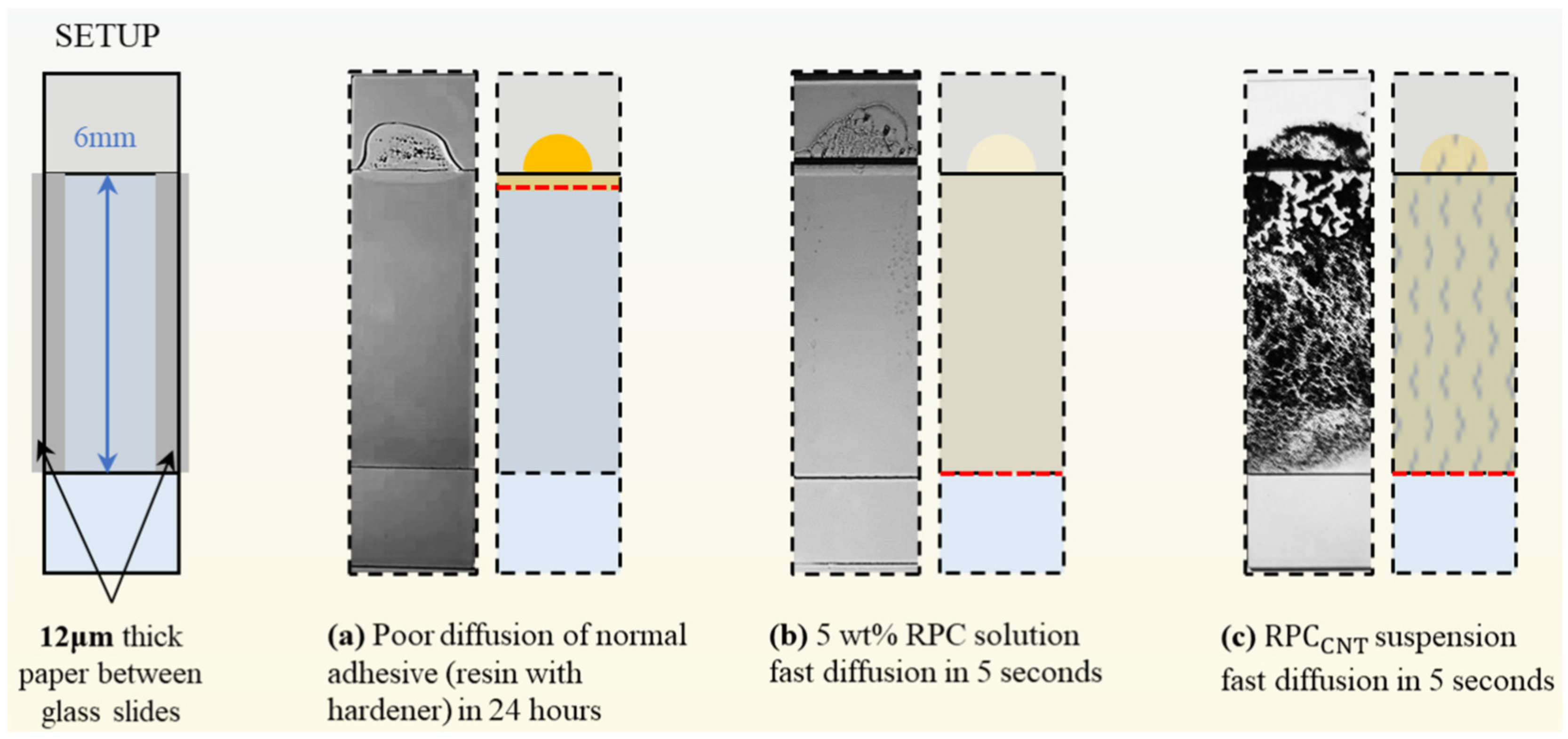 Inorganics 11 00454 g010