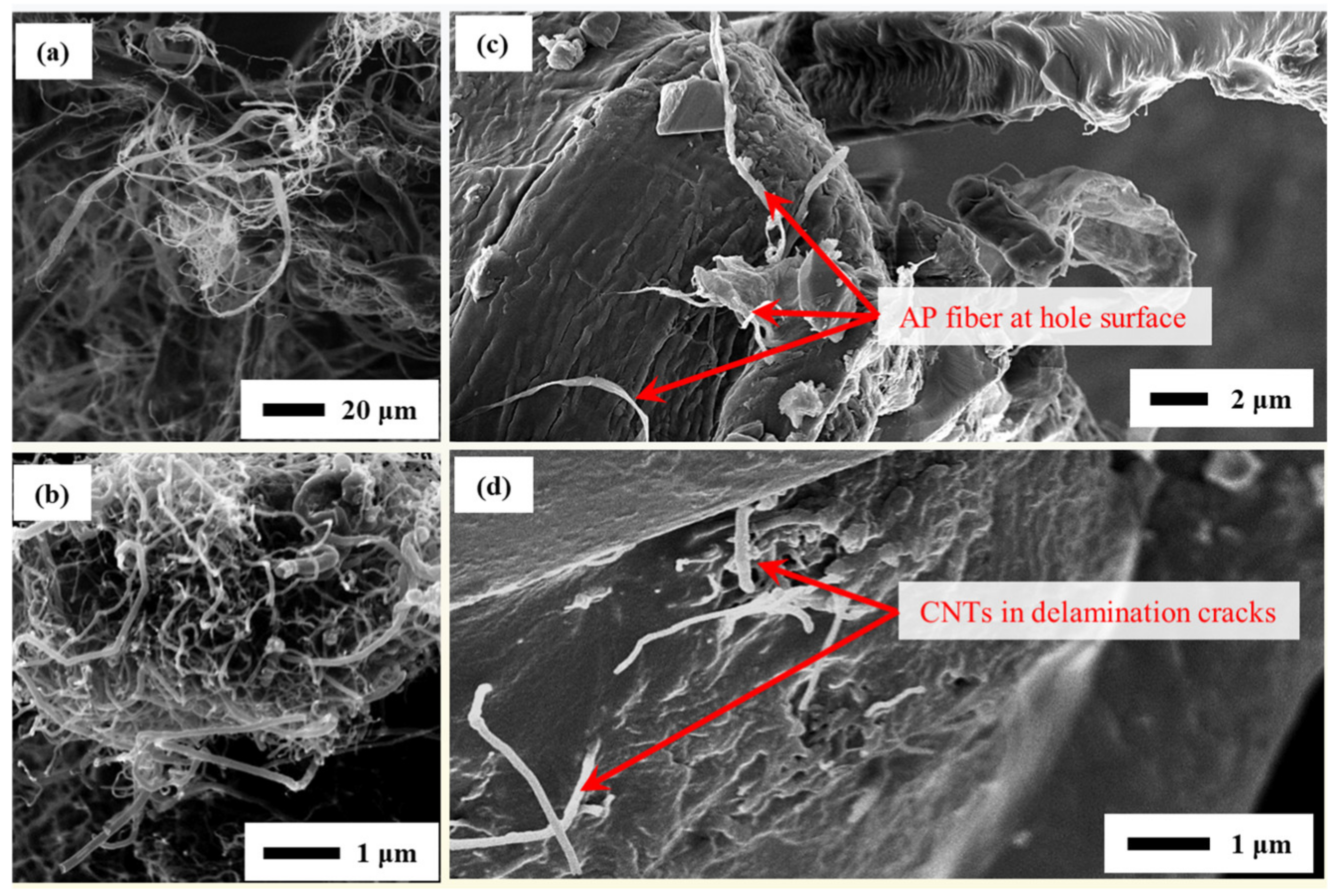Inorganics 11 00454 g012