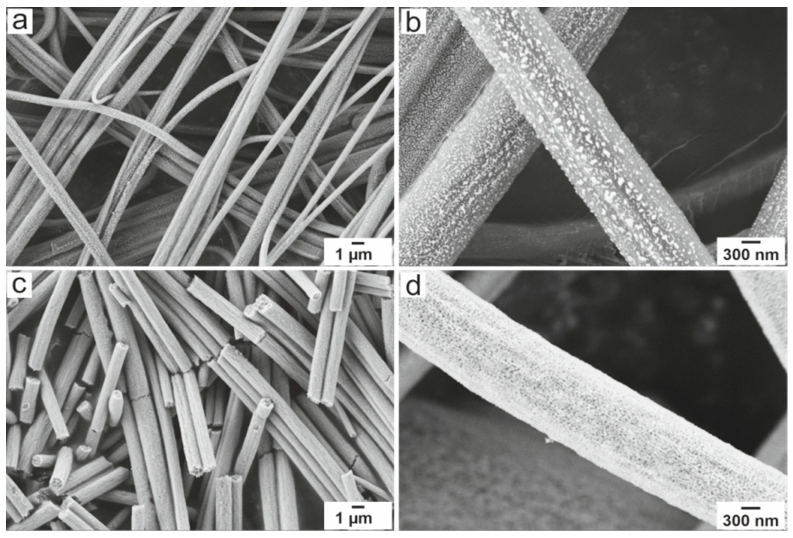 Inorganics 11 00456 g003