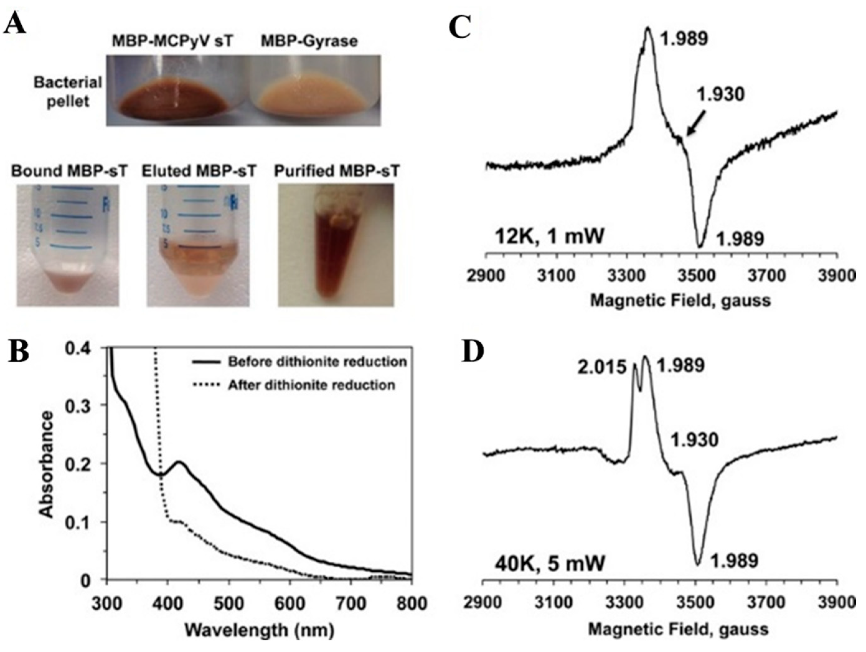 Inorganics 12 00025 g005