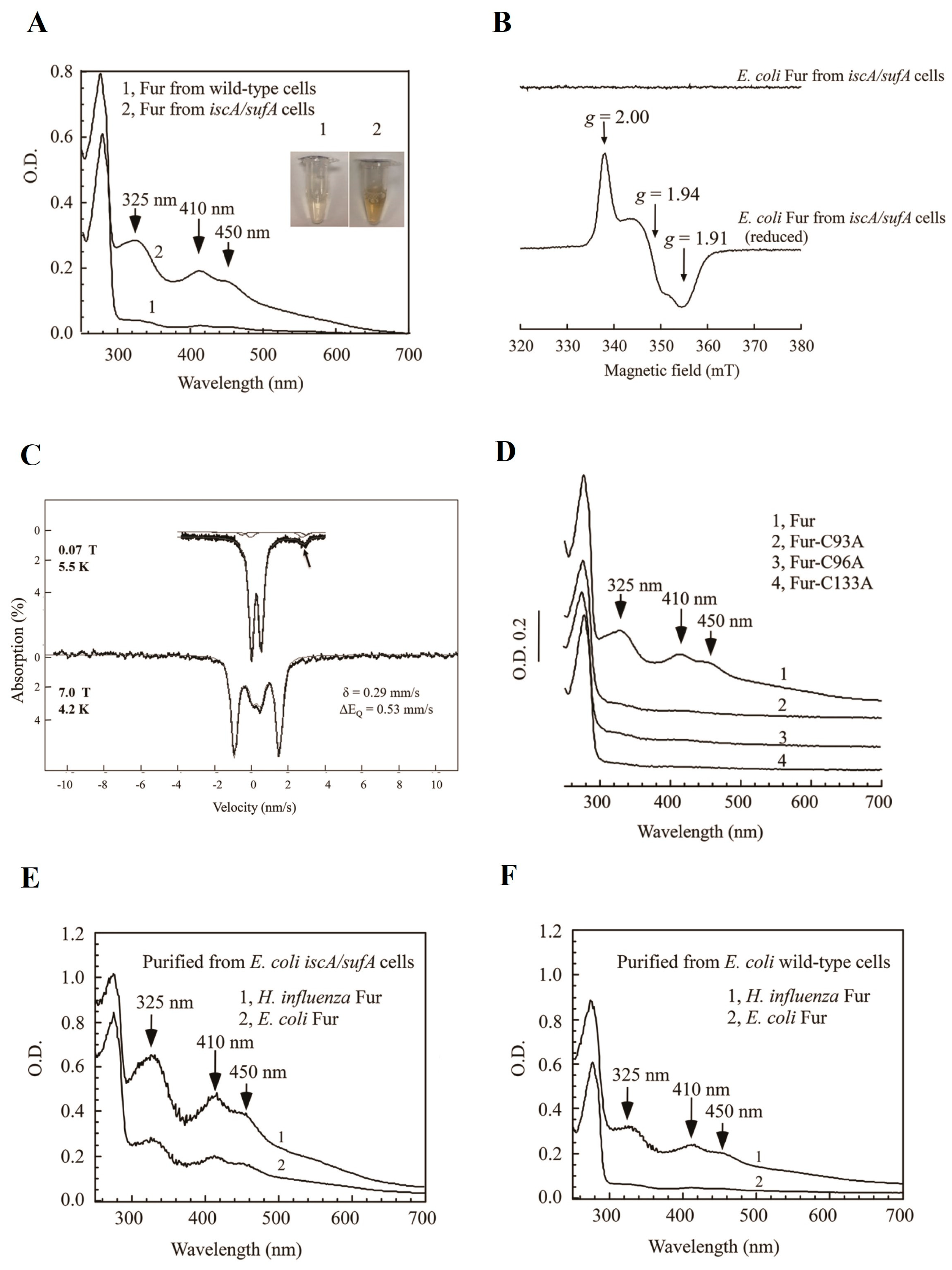 Inorganics 12 00025 g011